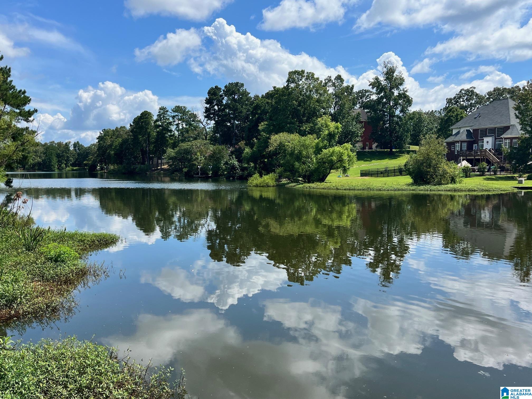 Homes for sale in Alabaster, AL | 105 Quarter Horse Lane, Alabaster, AL 35007 | MLS# 21443389