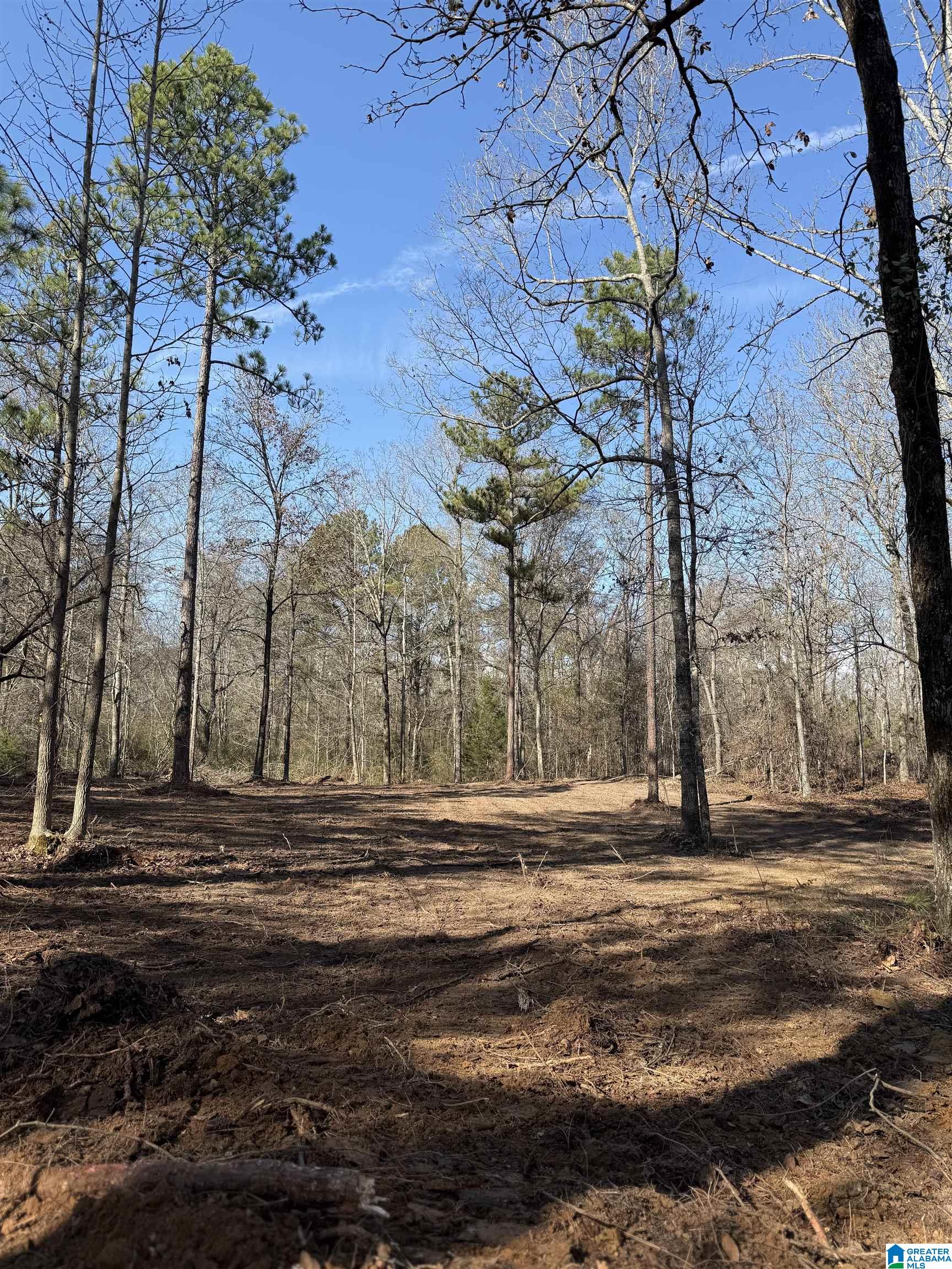 Homes for sale in Riverside, AL | 089 Mckesie Street, Riverside, AL 35135 | MLS# 21443405