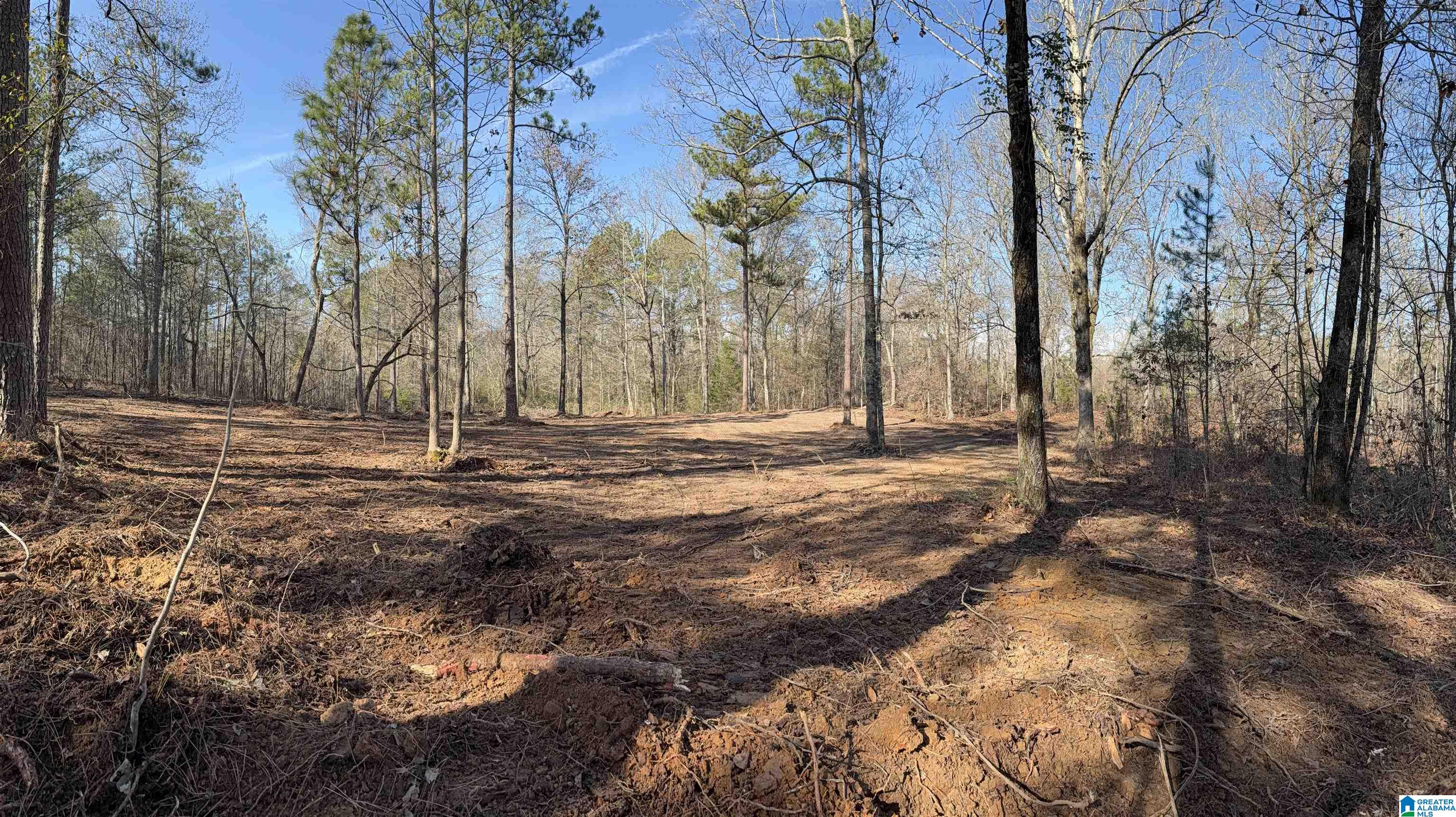 Homes for sale in Riverside, AL | 089 Mckesie Street, Riverside, AL 35135 | MLS# 21443405