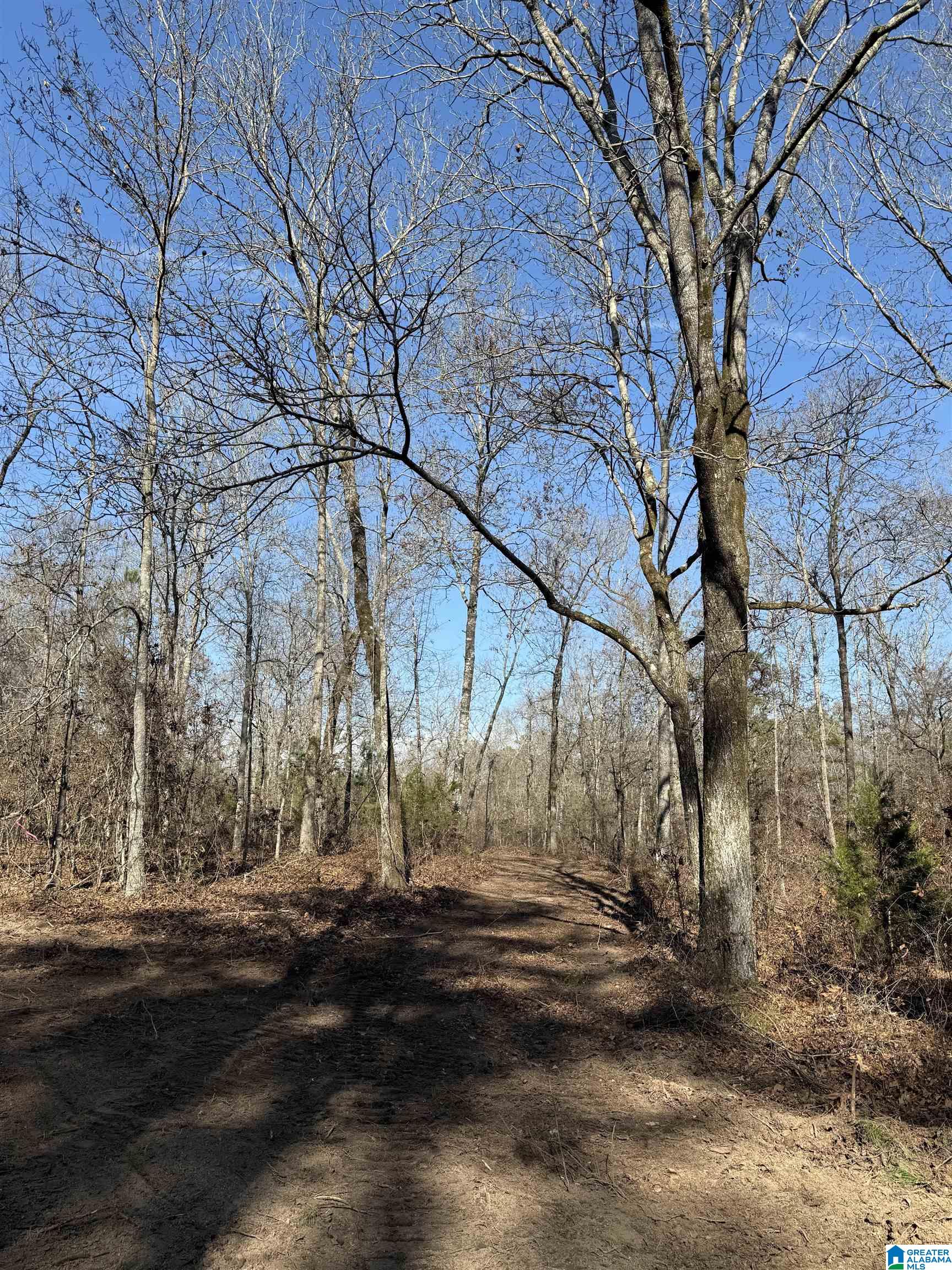 Homes for sale in Riverside, AL | 089 Mckesie Street, Riverside, AL 35135 | MLS# 21443405