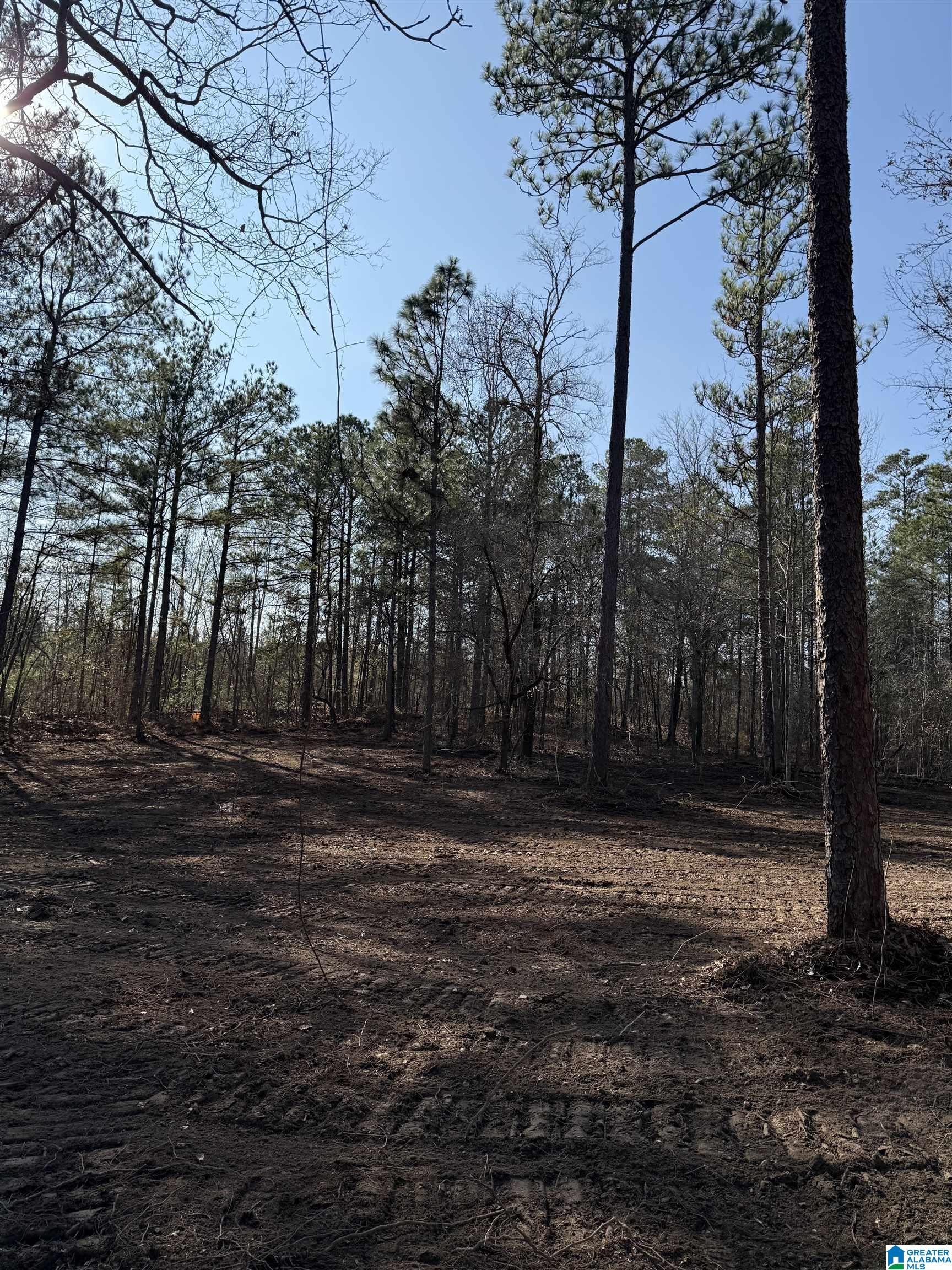 Homes for sale in Riverside, AL | 089 Mckesie Street, Riverside, AL 35135 | MLS# 21443405