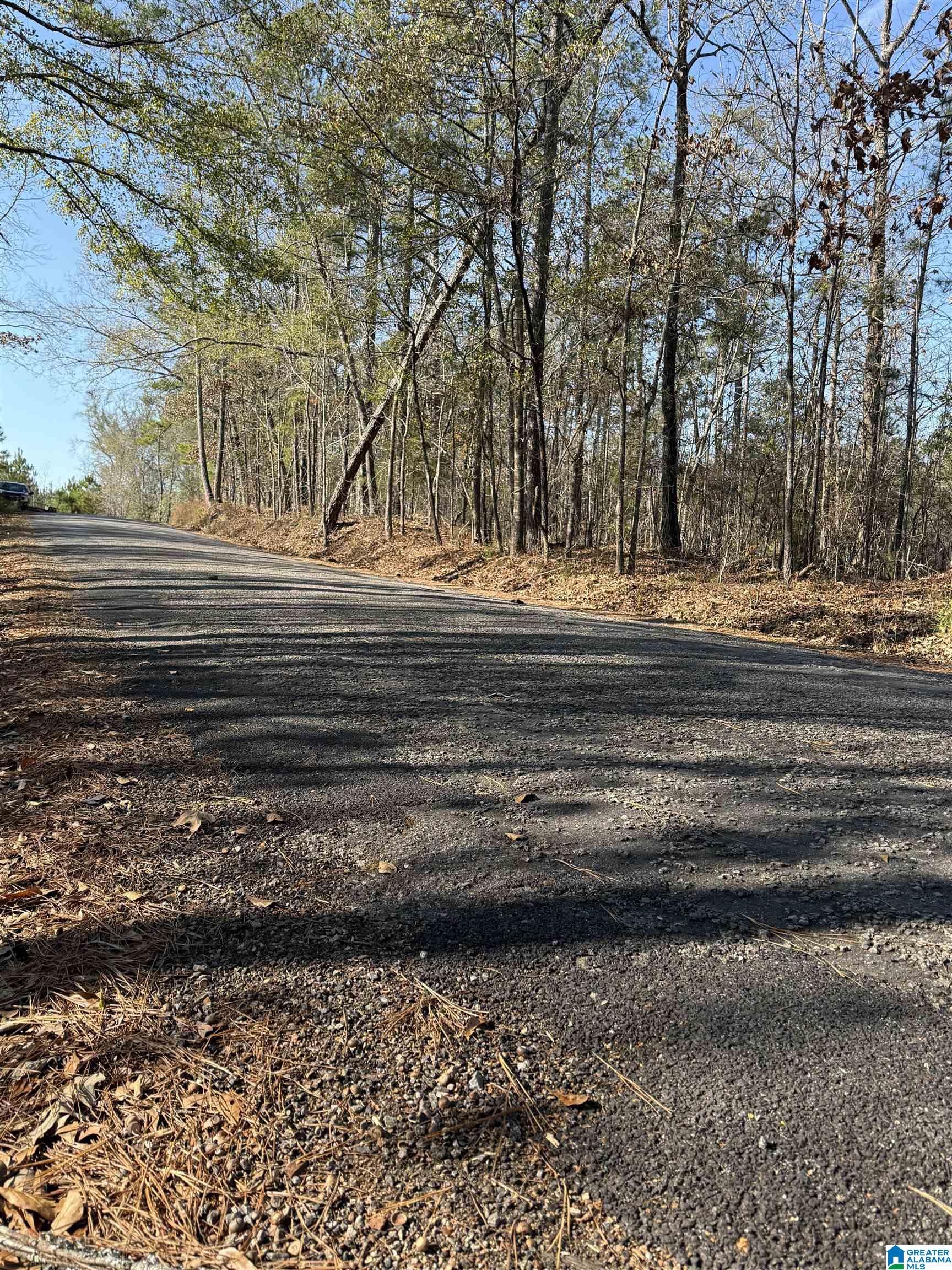 Homes for sale in Riverside, AL | 089 Mckesie Street, Riverside, AL 35135 | MLS# 21443405