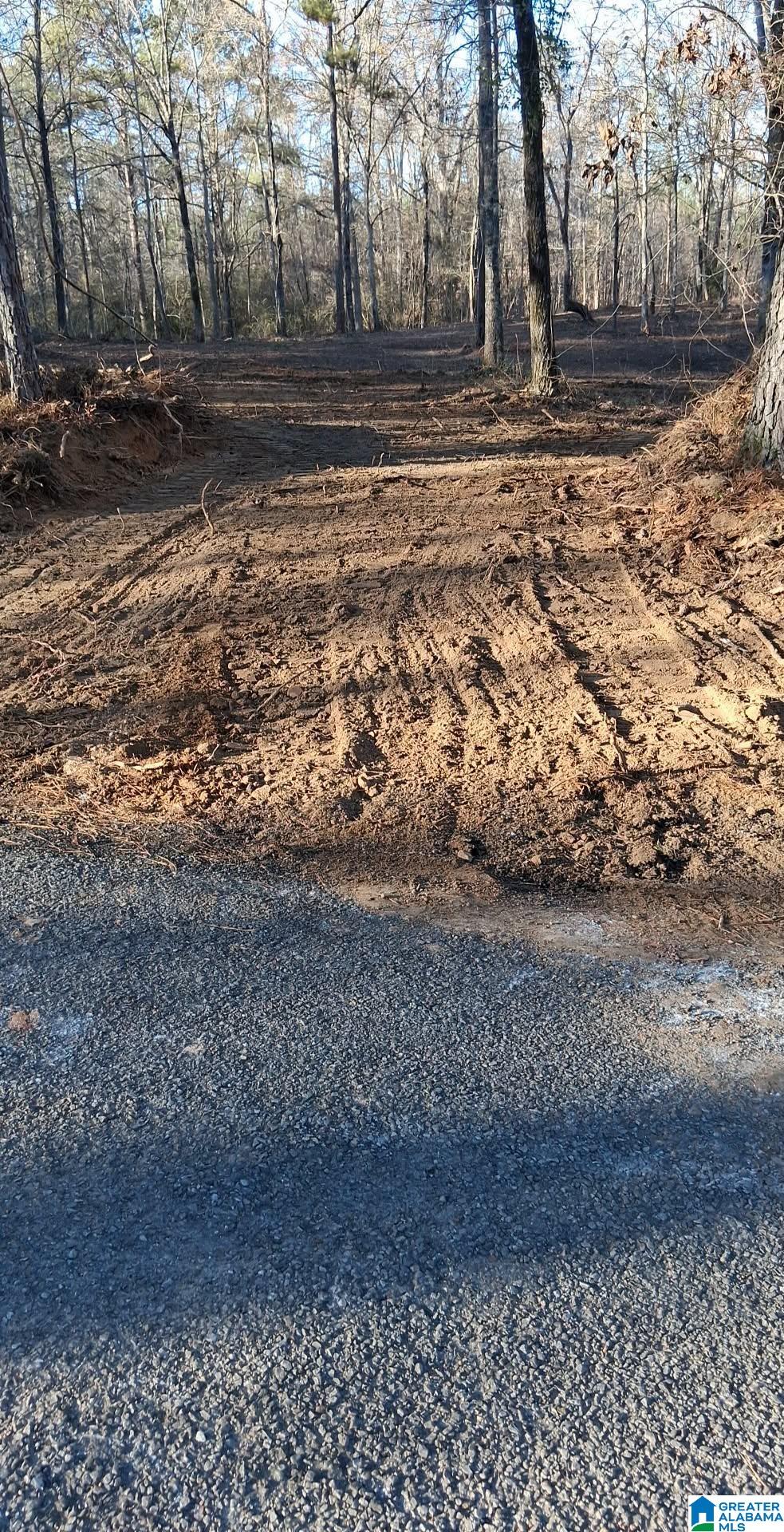 Homes for sale in Riverside, AL | 089 Mckesie Street, Riverside, AL 35135 | MLS# 21443405