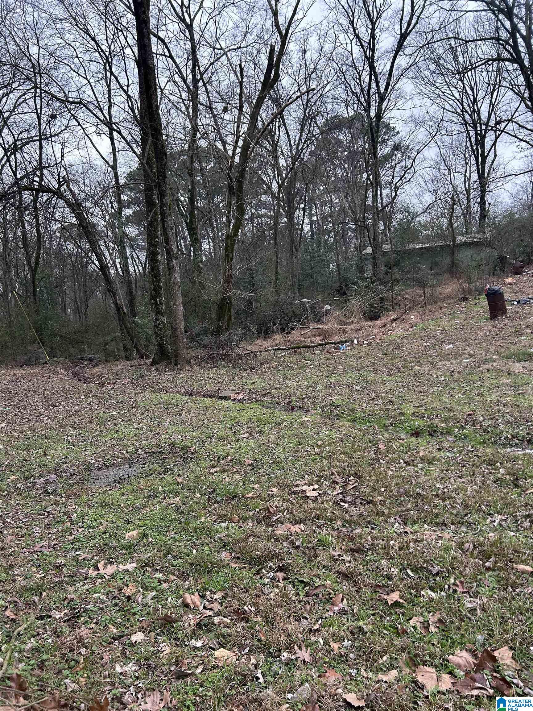 Homes for sale in Gardendale, AL | 254 Flint Avenue, Gardendale, AL 35071 | MLS# 21443437