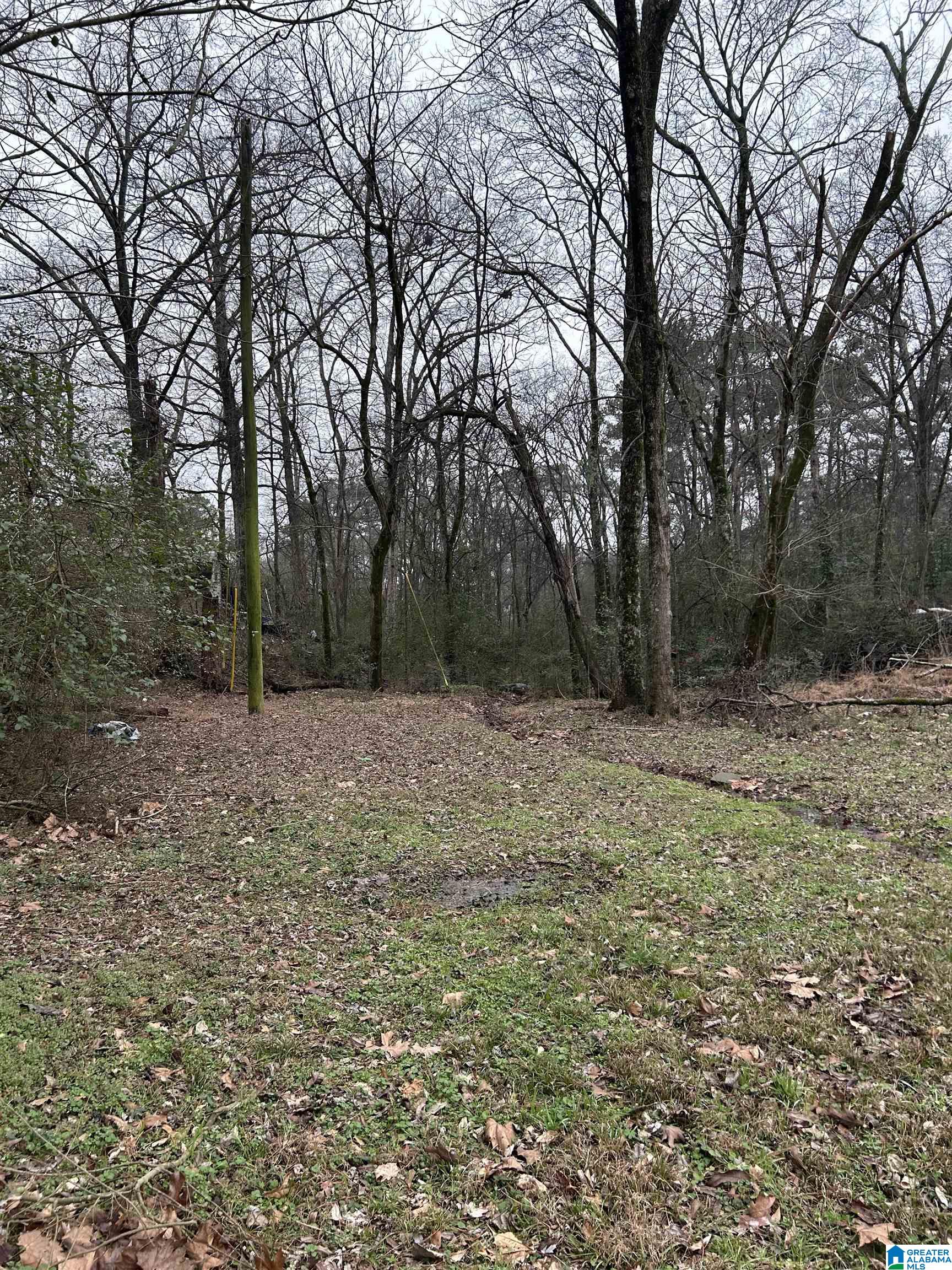 Homes for sale in Gardendale, AL | 254 Flint Avenue, Gardendale, AL 35071 | MLS# 21443437