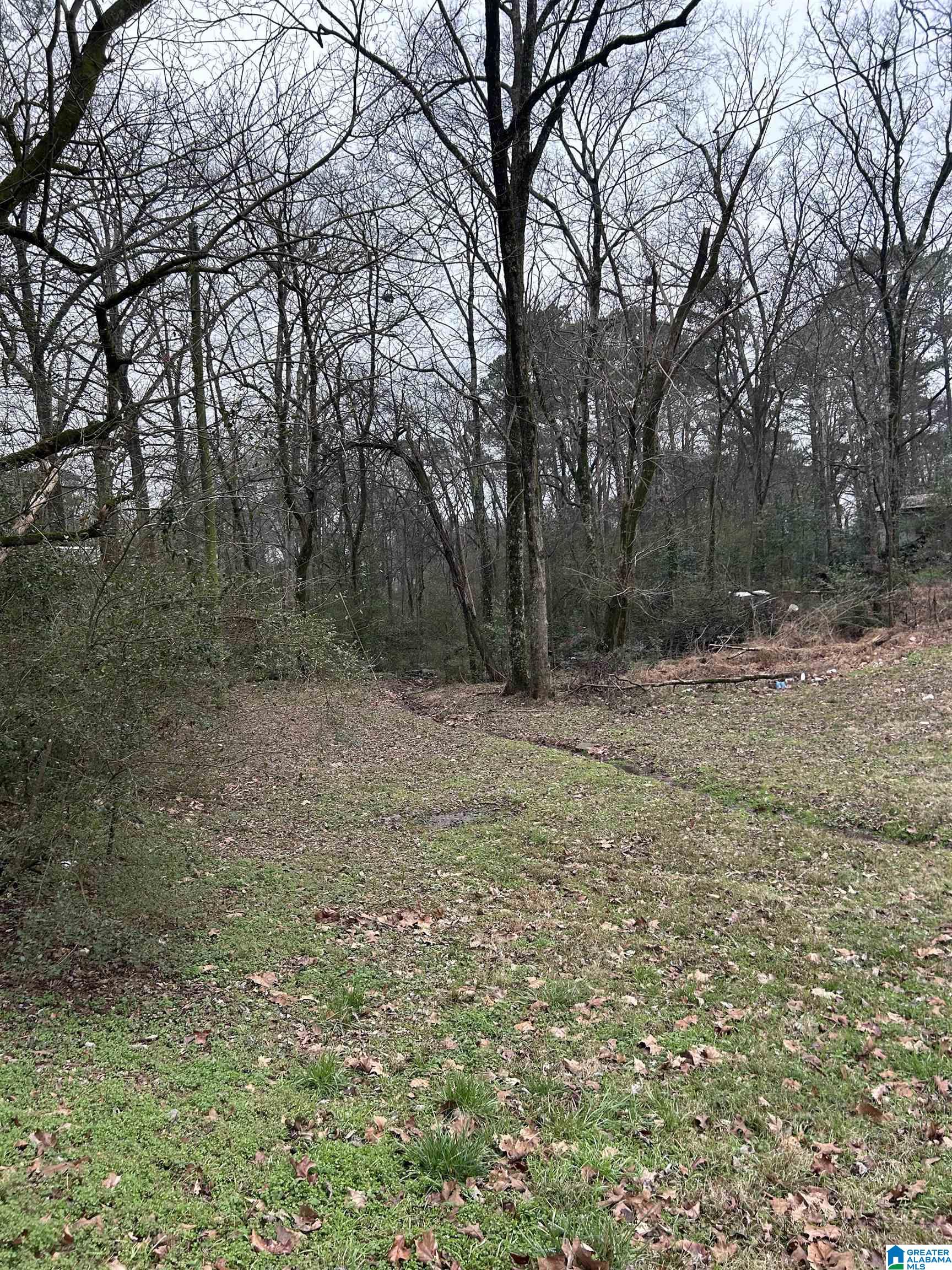 Homes for sale in Gardendale, AL | 254 Flint Avenue, Gardendale, AL 35071 | MLS# 21443437