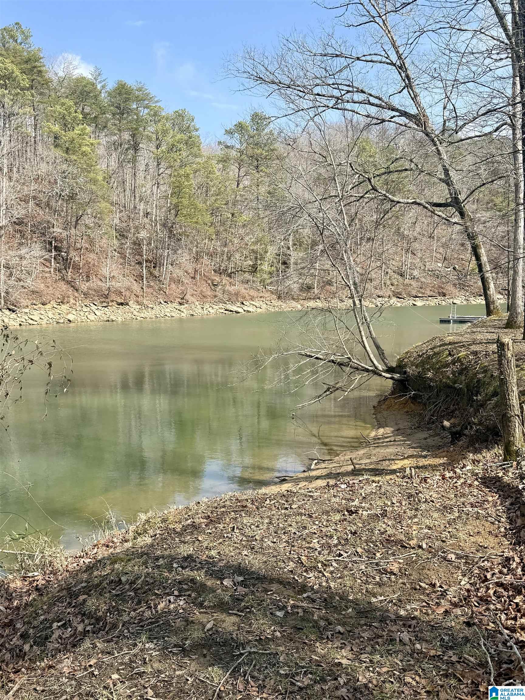 Homes for sale in Double Springs, AL | 89 County Road 3019, Double Springs, AL 35553 | MLS# 21443454