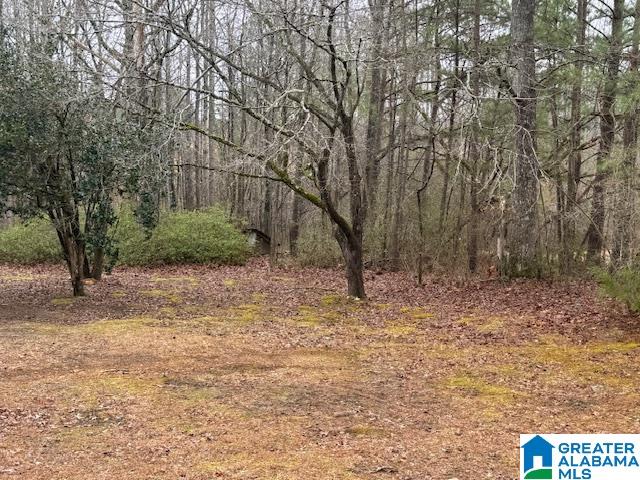 Homes for sale in Goodwater, AL | 2611 Oaks Chapel Road, Goodwater, AL 35072 | MLS# 21443464