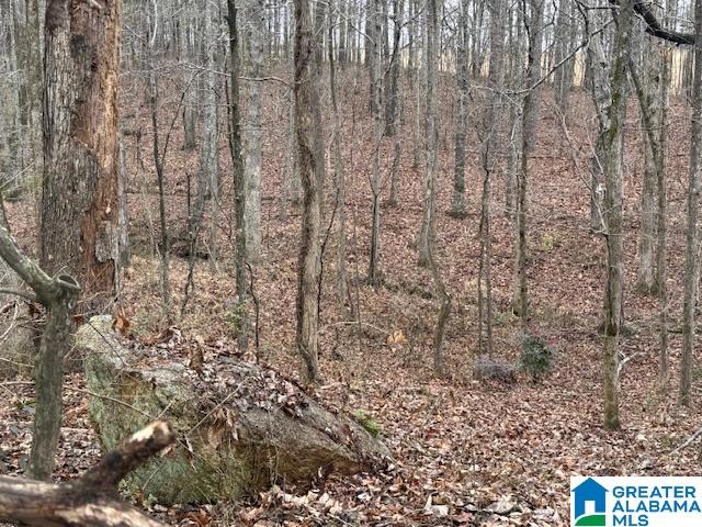 Homes for sale in Goodwater, AL | 2611 Oaks Chapel Road, Goodwater, AL 35072 | MLS# 21443464