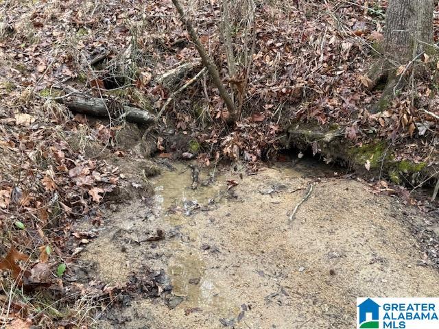 Homes for sale in Goodwater, AL | 2611 Oaks Chapel Road, Goodwater, AL 35072 | MLS# 21443464