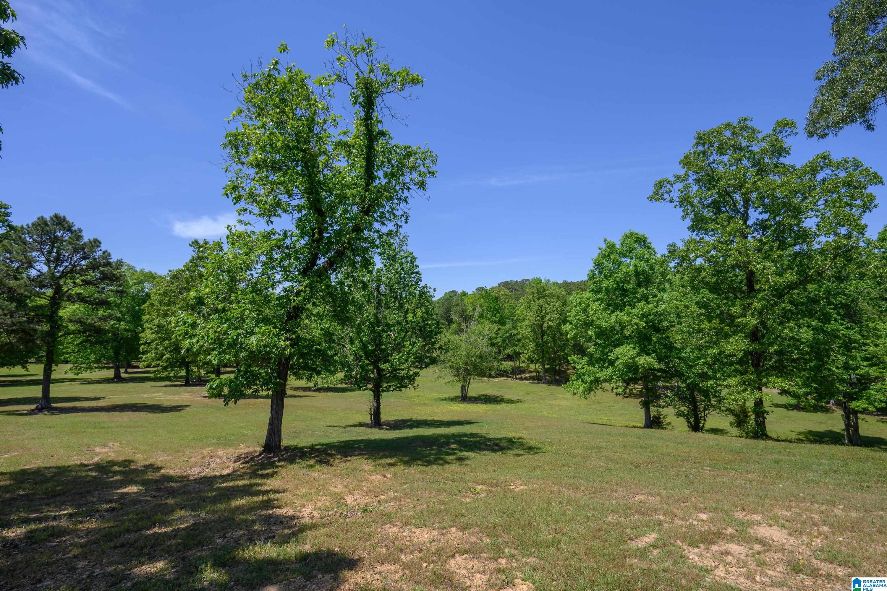 Photo 4 of Single family home for sale at 165 Rockhill Dr, Shelby, AL 35143 | MLS# 21443491 | Listing updated on 2026-04-23