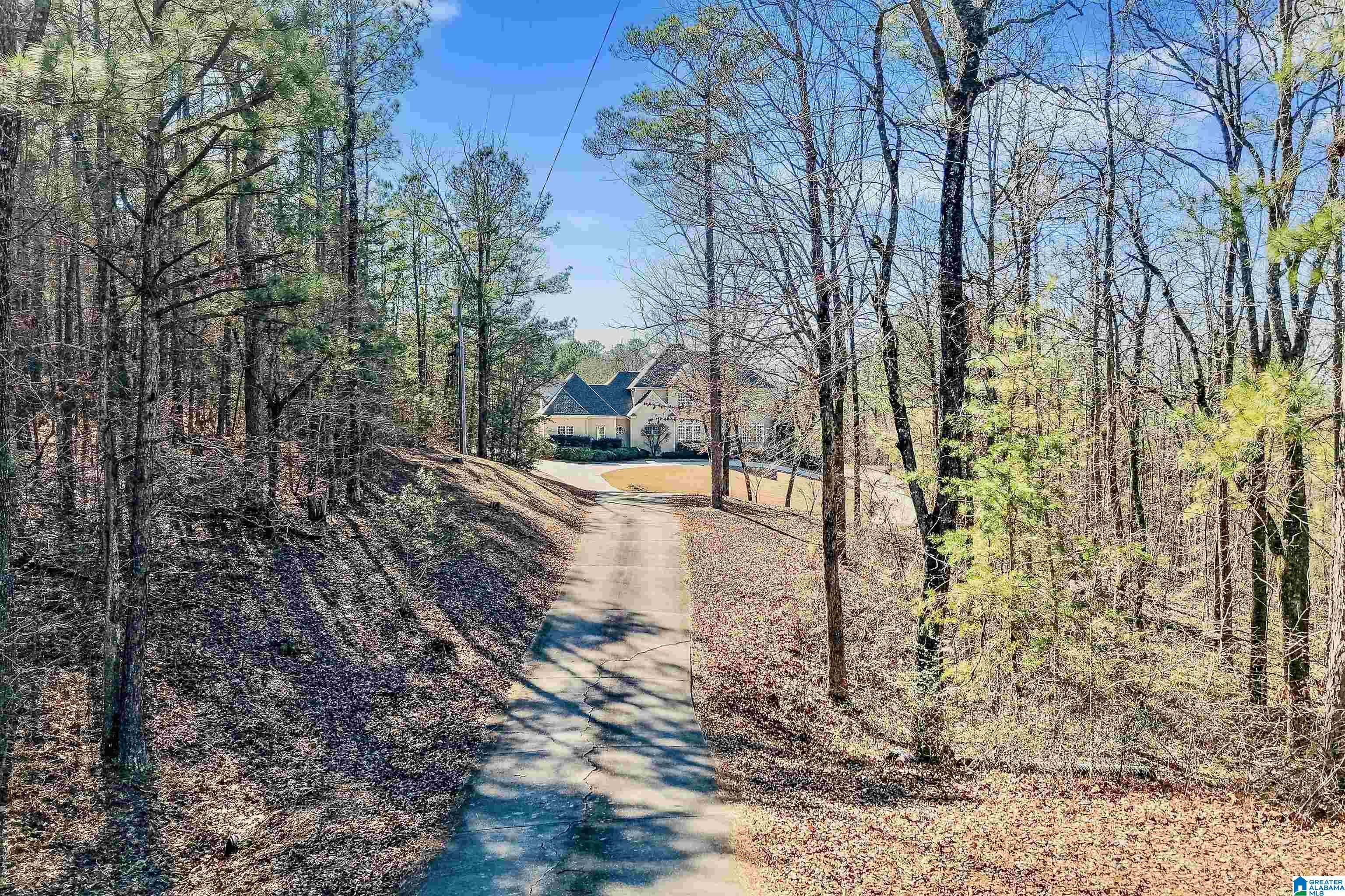 4th image of 347 Mcmahon Highland Road, Calera, AL 35040 | MLS# 21443497