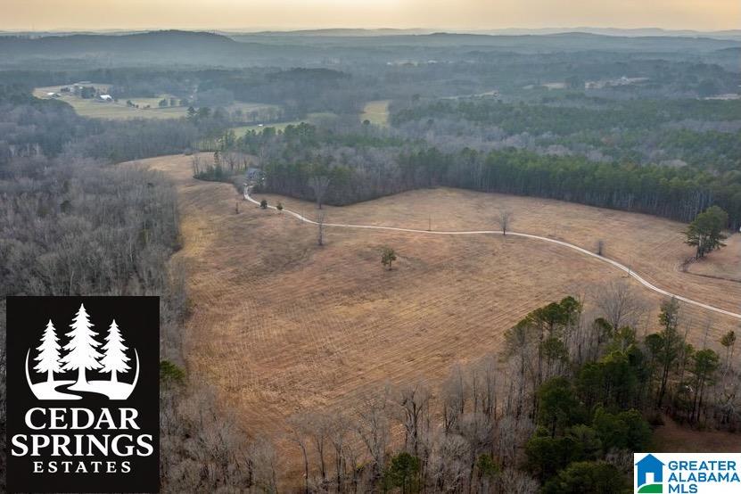 Homes for sale in Jacksonville, AL | Lot 6 Cedar Springs Dr, Jacksonville, AL 36265 | MLS# 21443506