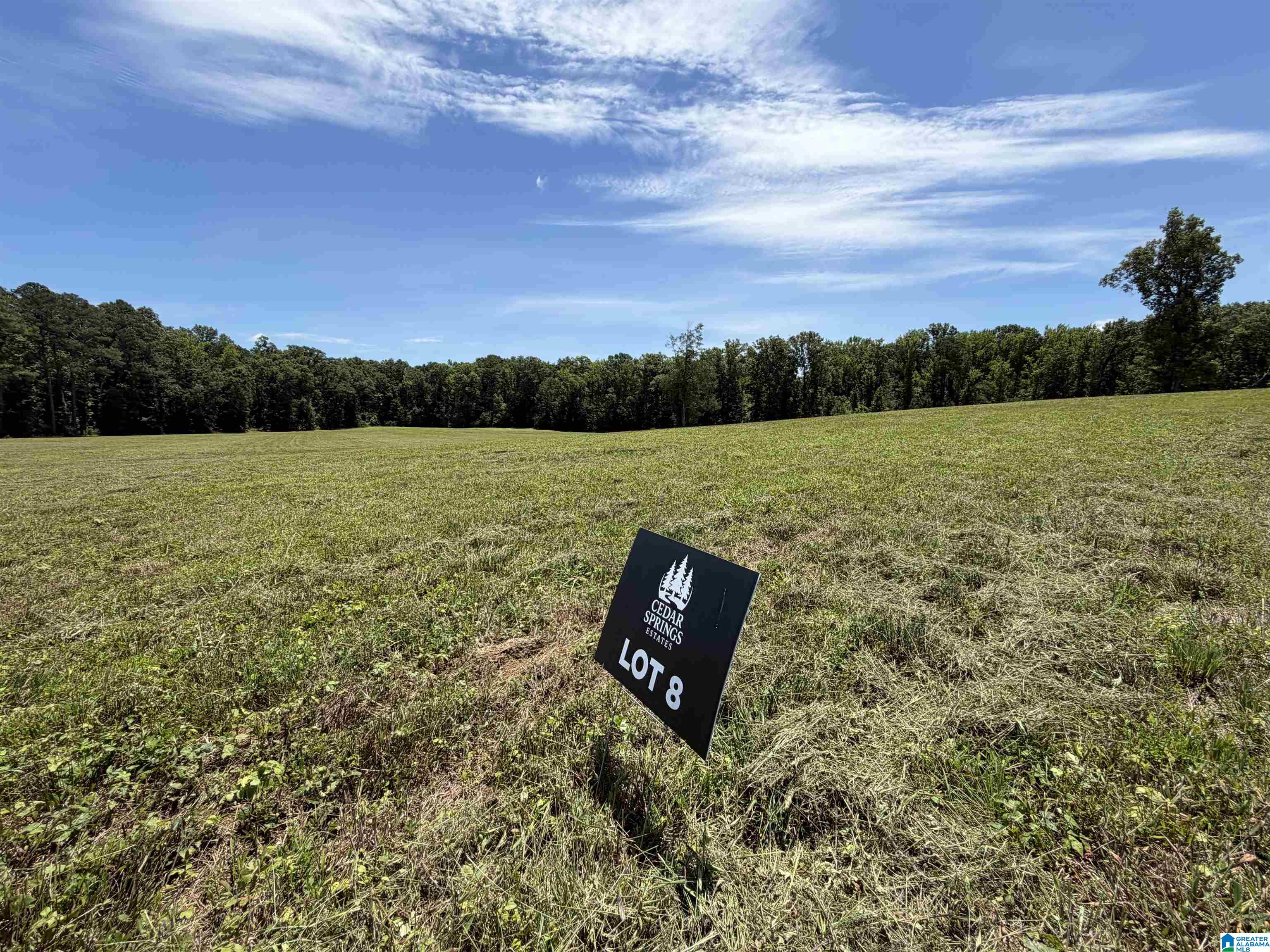 Lot 8 CEDAR SPRINGS DRIVE