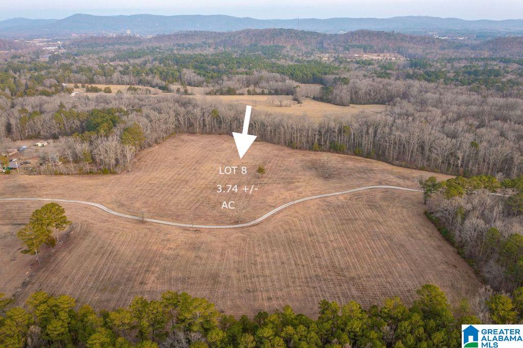 Homes for sale in Jacksonville, AL | Lot 8 Cedar Springs Dr, Jacksonville, AL 36265 | MLS# 21443510