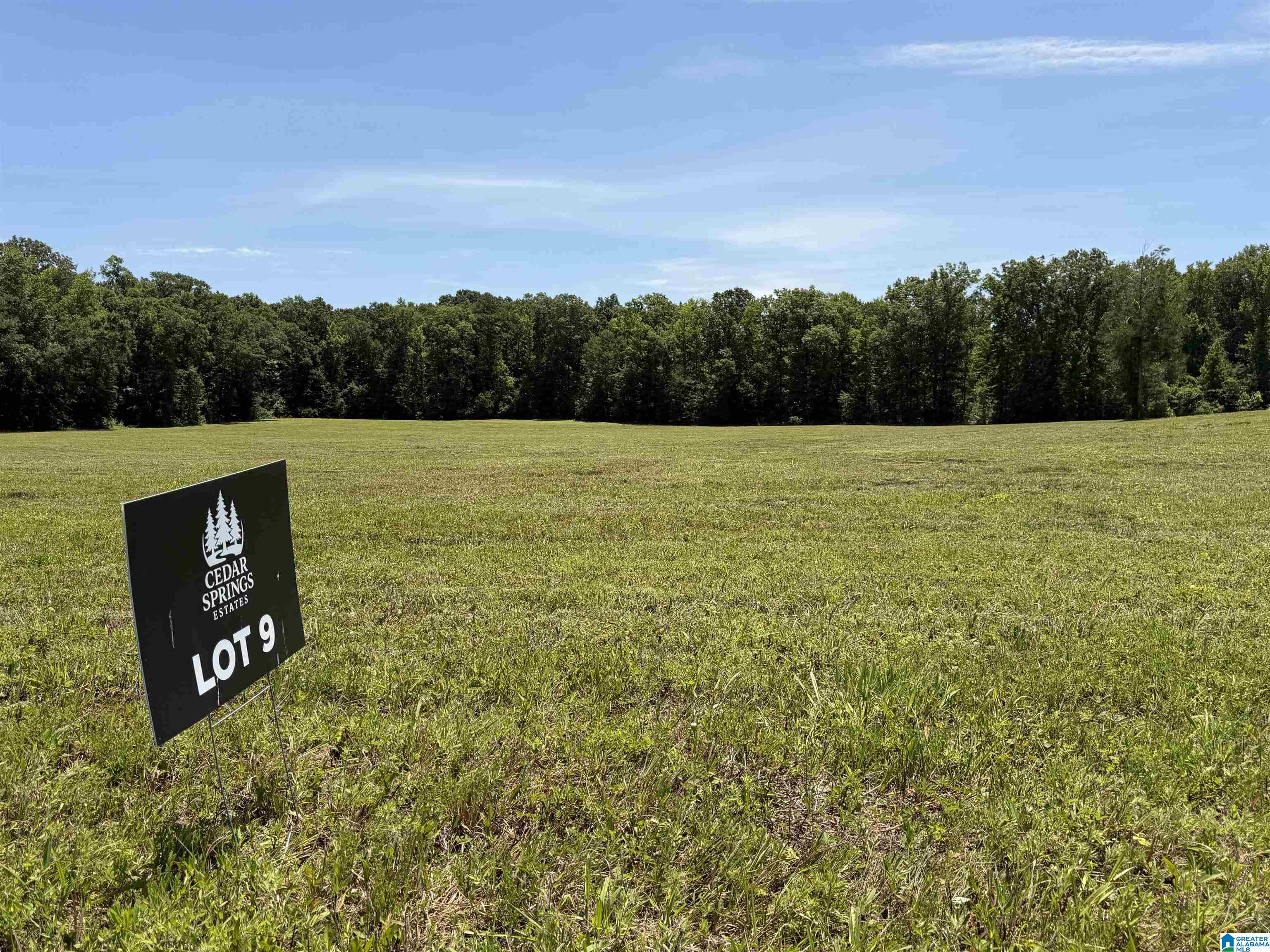 Lot 9 CEDAR SPRINGS DRIVE