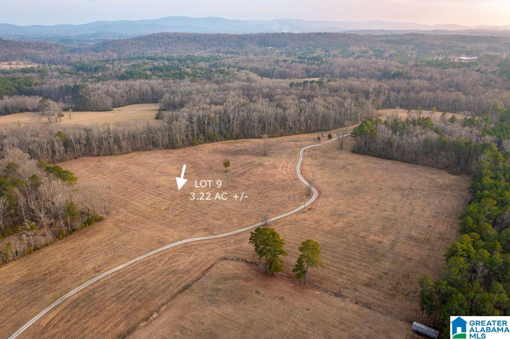 Homes for sale in Jacksonville, AL | Lot 9 Cedar Springs Dr, Jacksonville, AL 36265 | MLS# 21443511