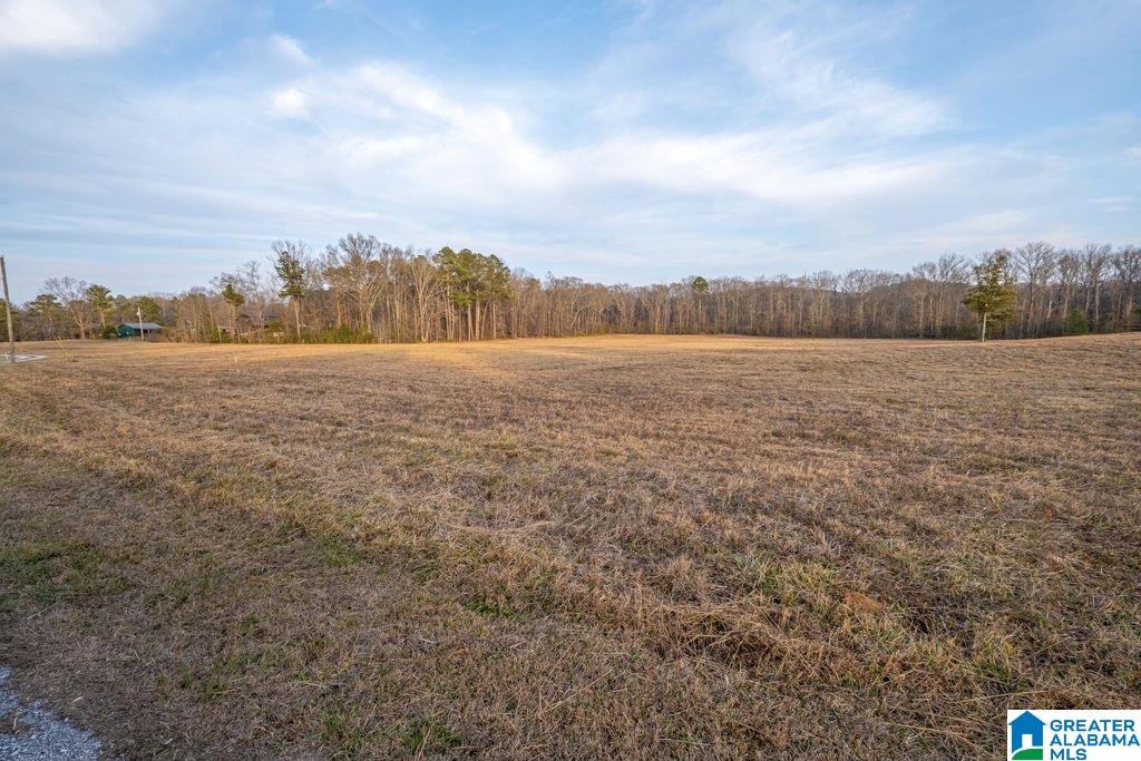 Homes for sale in Jacksonville, AL | Lot 9 Cedar Springs Dr, Jacksonville, AL 36265 | MLS# 21443511