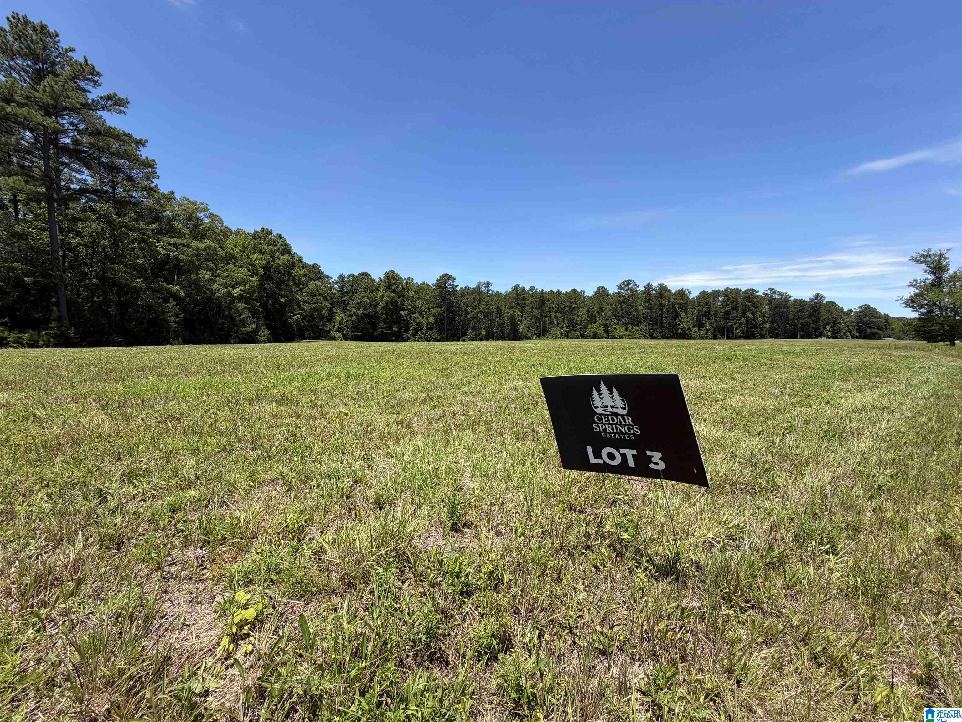 Lot 3 CEDAR SPRINGS DRIVE