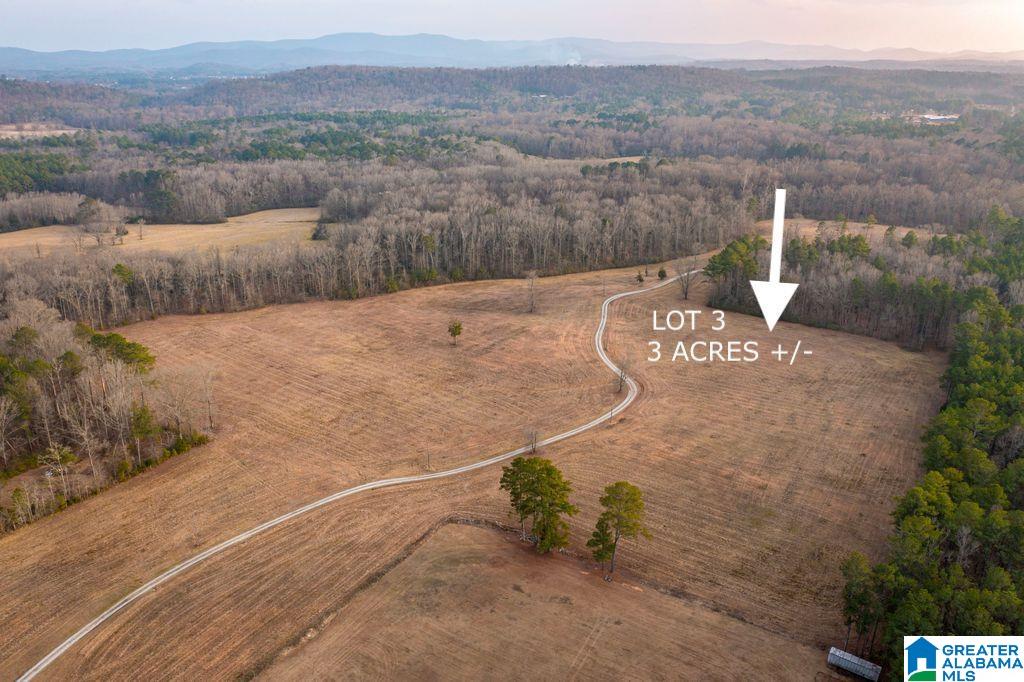 Homes for sale in Jacksonville, AL | Lot 3 Cedar Springs Dr, Jacksonville, AL 36265 | MLS# 21443512