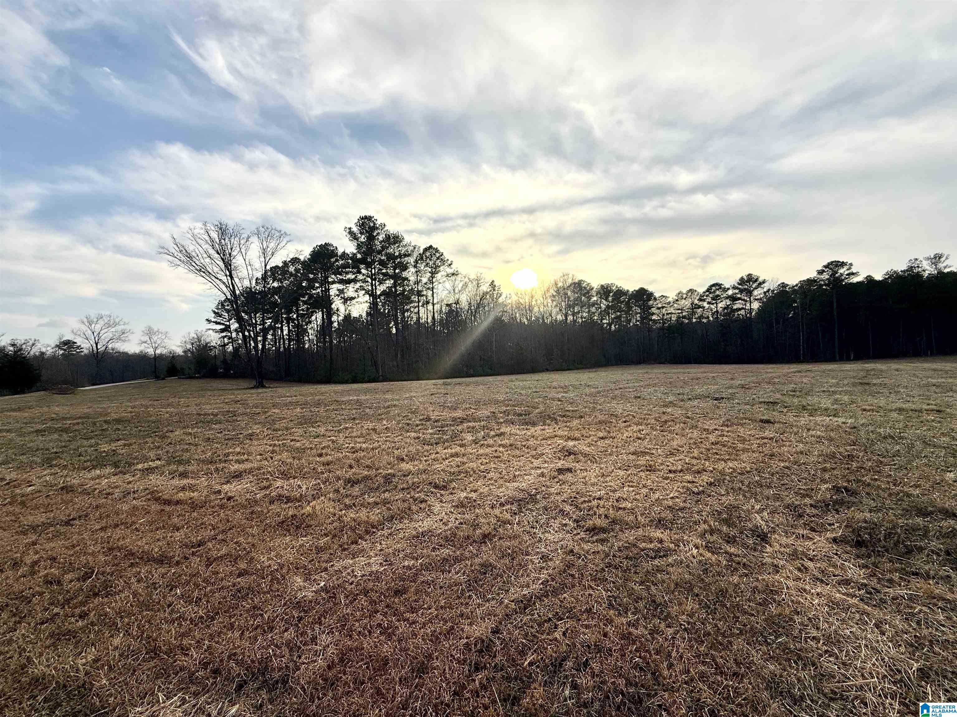 Homes for sale in Jacksonville, AL | Lot 3 Cedar Springs Dr, Jacksonville, AL 36265 | MLS# 21443512