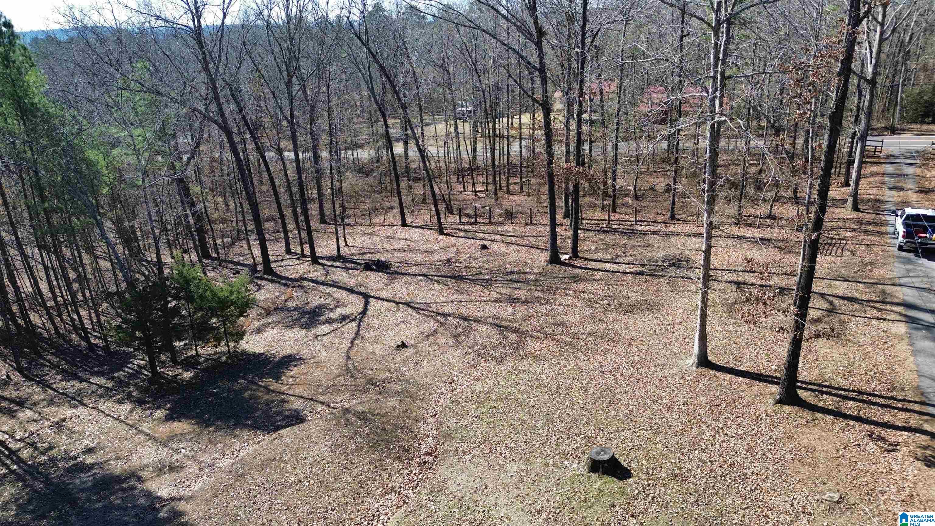 Homes for sale in Warrior, AL | 9516 Newell Hill Road, Warrior, AL 35180 | MLS# 21443549