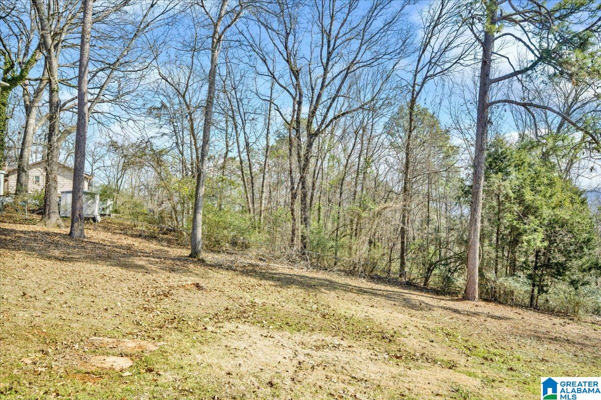 Homes for sale in Pelham, AL | 4671 Wooddale Lane, Pelham, AL 35124 | MLS# 21443553