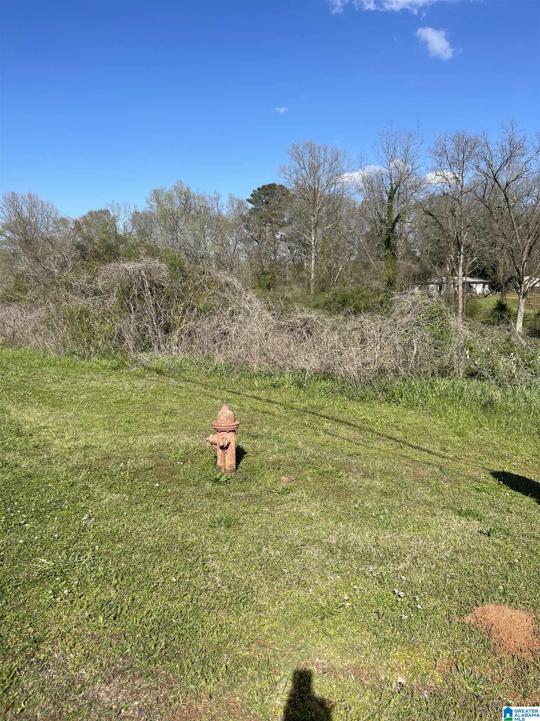 Homes for sale in Roanoke, AL | 0 Franklin Road, Roanoke, AL 36274 | MLS# 21443557