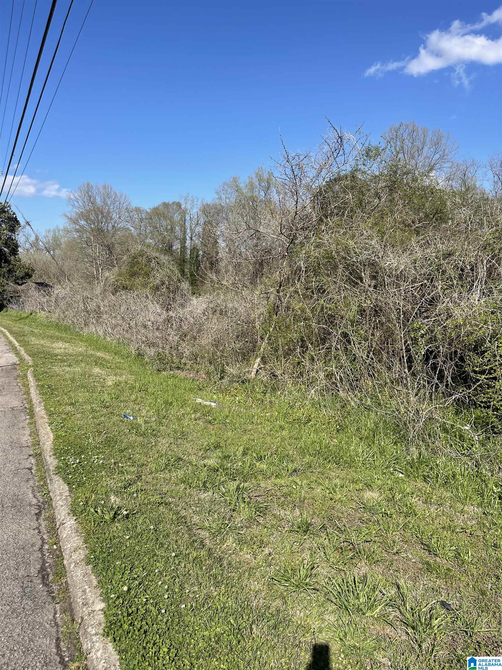 Homes for sale in Roanoke, AL | 0 Franklin Road, Roanoke, AL 36274 | MLS# 21443557