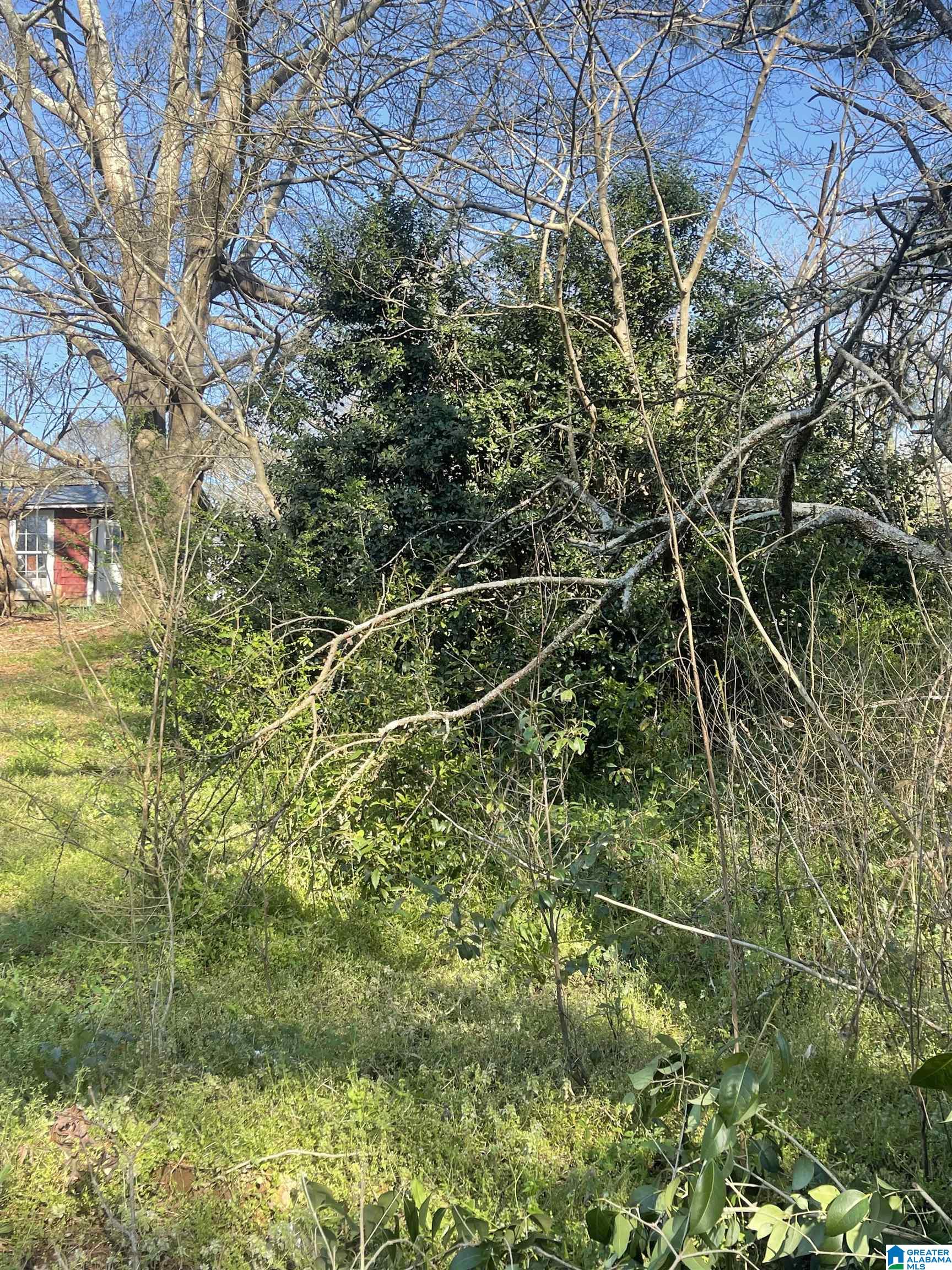 Homes for sale in Roanoke, AL | 0 West Avenue, Roanoke, AL 36274 | MLS# 21443558