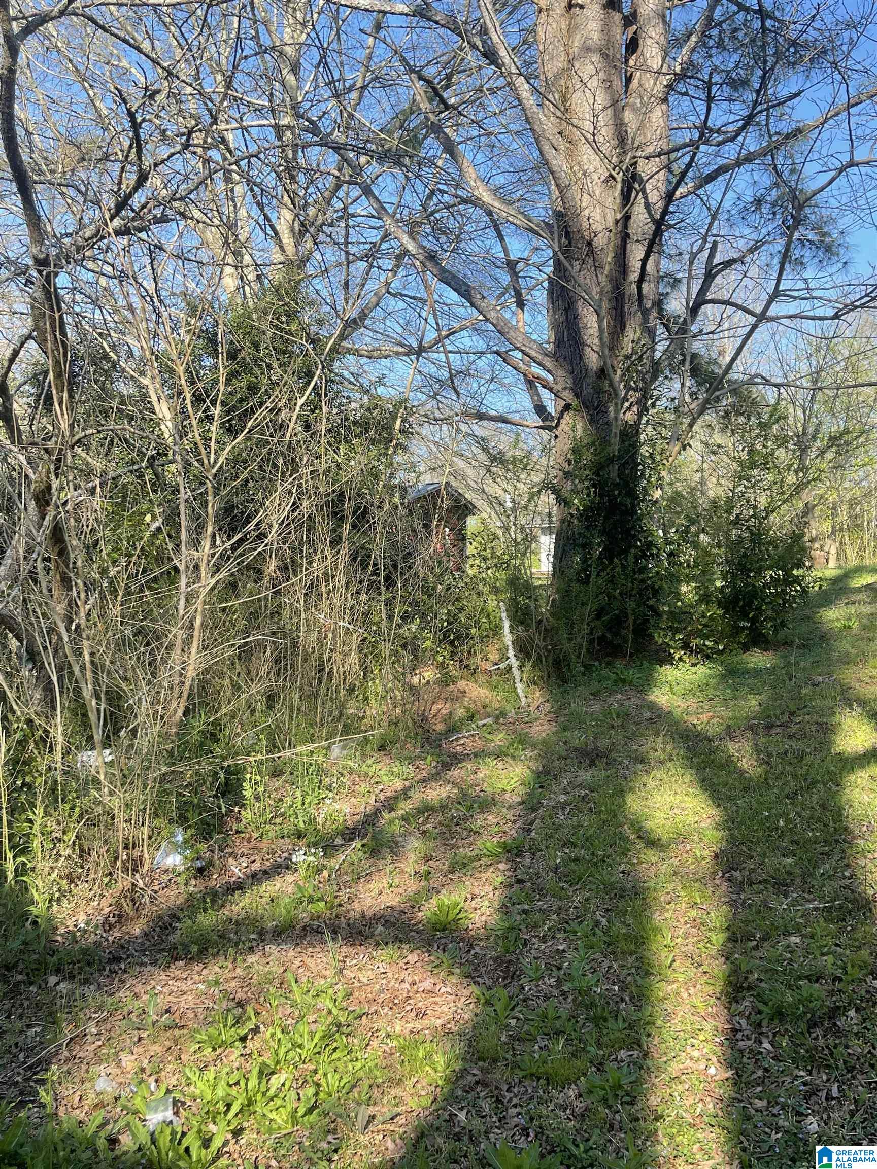 Homes for sale in Roanoke, AL | 0 West Avenue, Roanoke, AL 36274 | MLS# 21443558