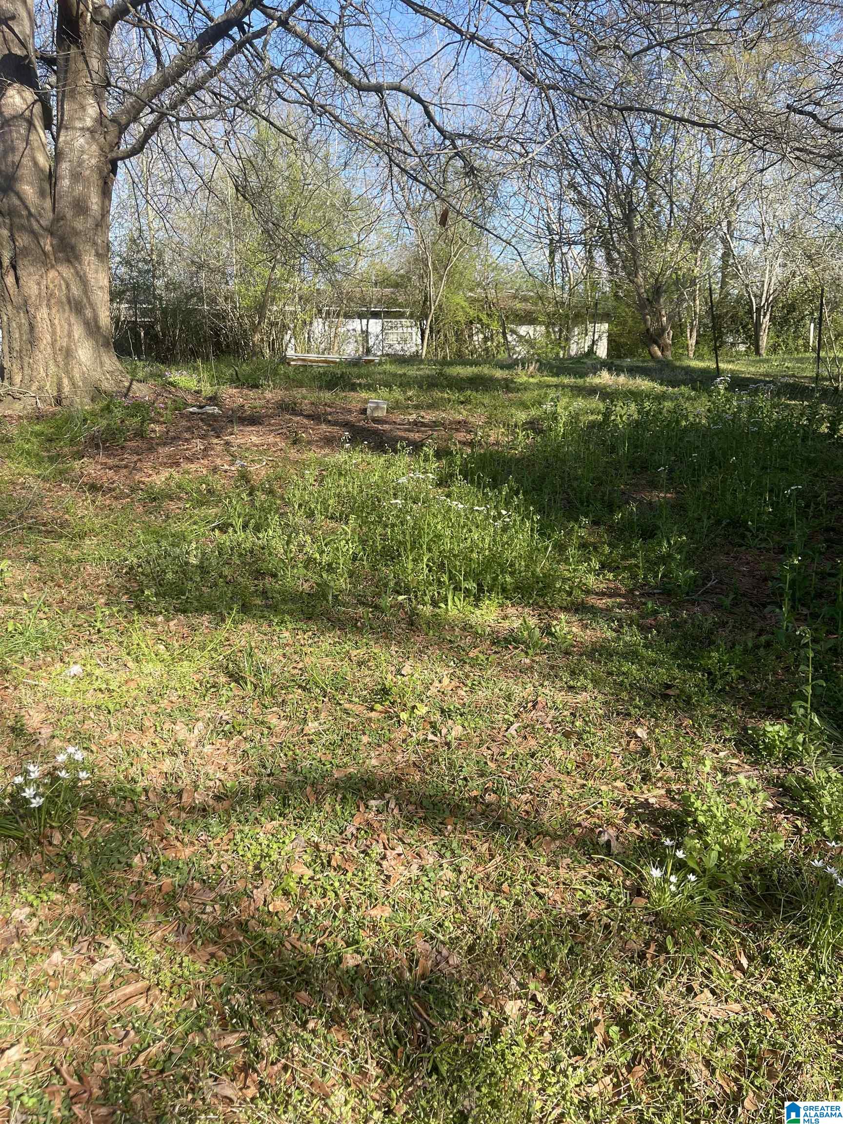 Homes for sale in Roanoke, AL | 0 West Avenue, Roanoke, AL 36274 | MLS# 21443558