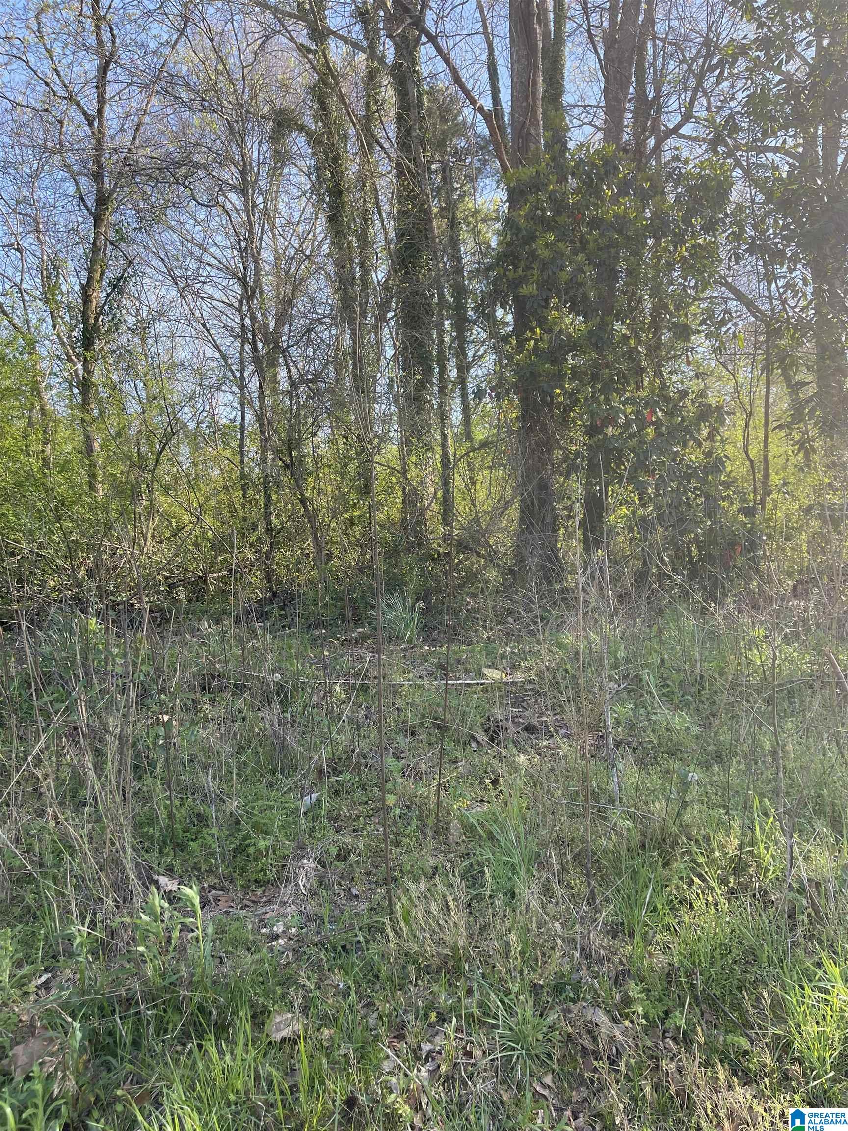 Homes for sale in Roanoke, AL | 0 Franklin Street, Roanoke, AL 36274 | MLS# 21443559