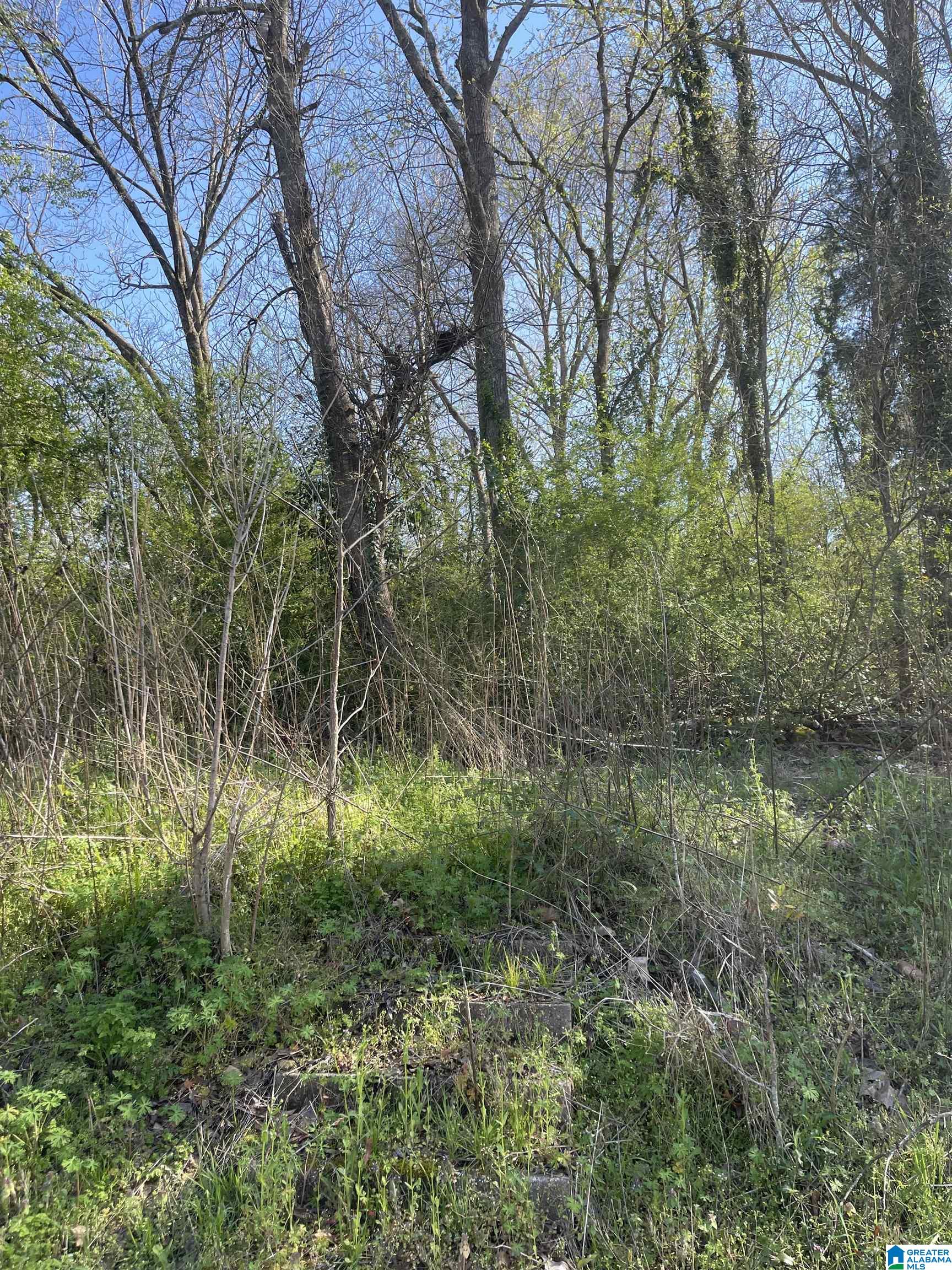 Homes for sale in Roanoke, AL | 0 Franklin Street, Roanoke, AL 36274 | MLS# 21443559