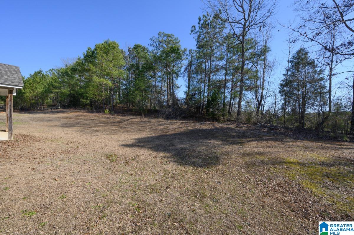 Homes for sale in West Blocton, AL | 120 Hills Mine Avenue, West Blocton, AL 35184 | MLS# 21443575