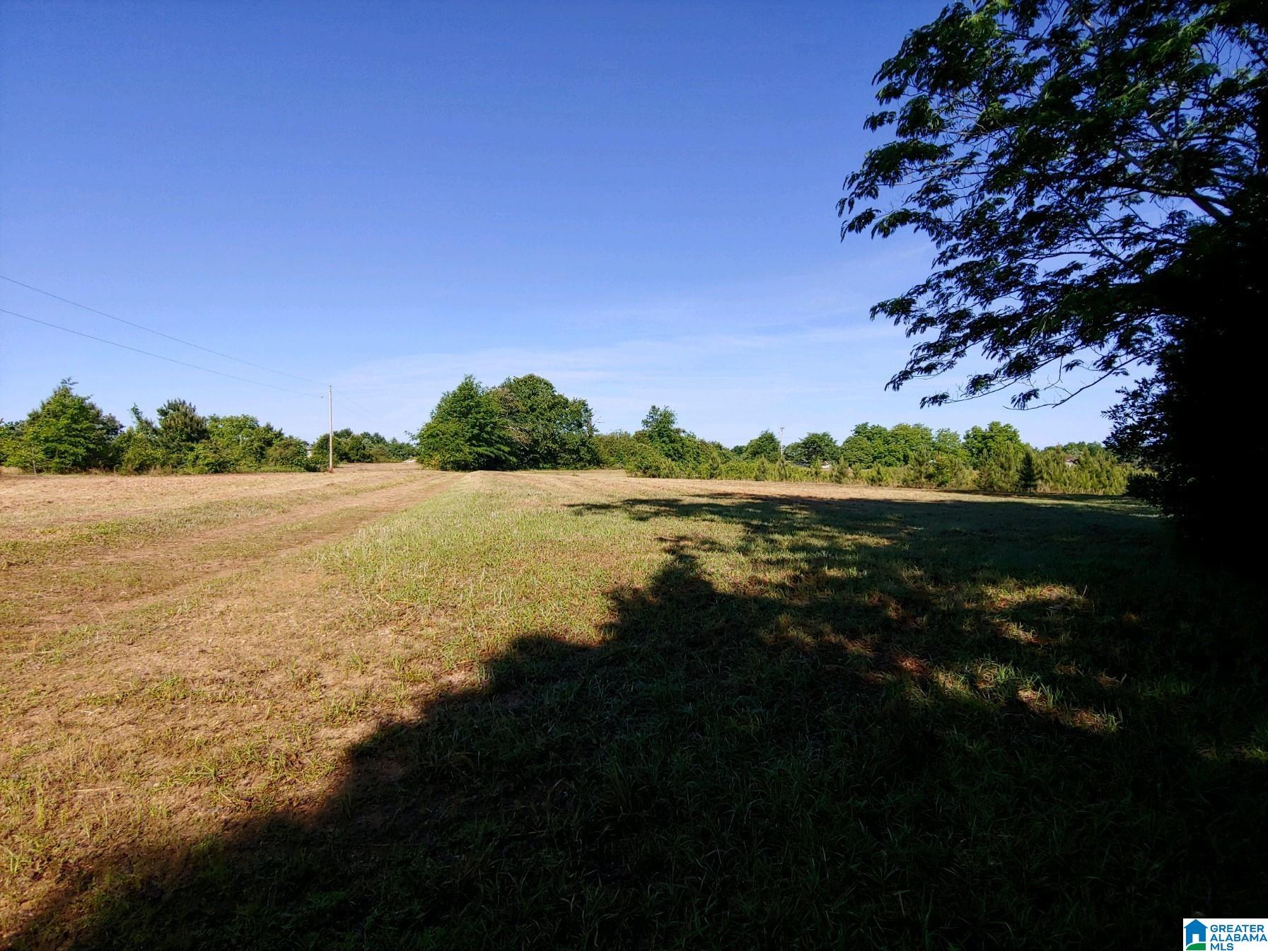 Homes for sale in Maplesville, AL | 0 Us Hwy 82, Maplesville, AL 36750 | MLS# 21443588