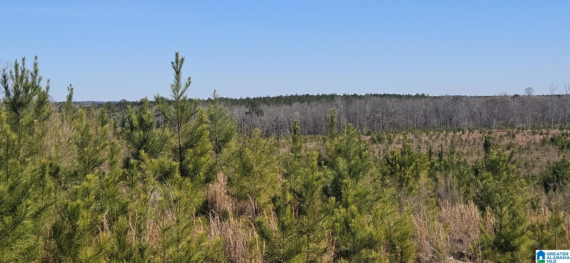 Homes for sale in Randolph, AL | 0 Hwy 139, Randolph, AL 36792 | MLS# 21443600