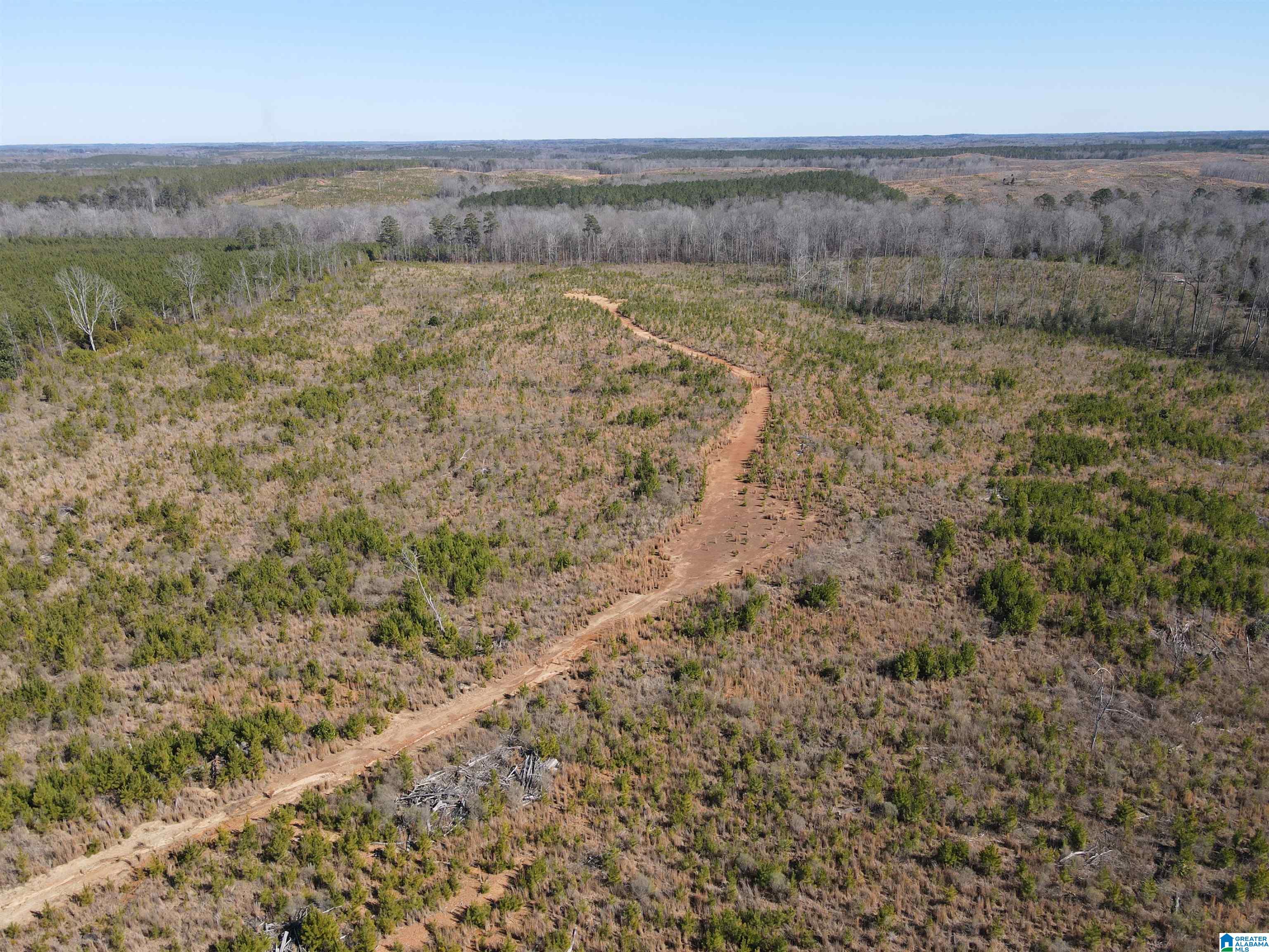 Homes for sale in Randolph, AL | 0 Hwy 139, Randolph, AL 36792 | MLS# 21443600