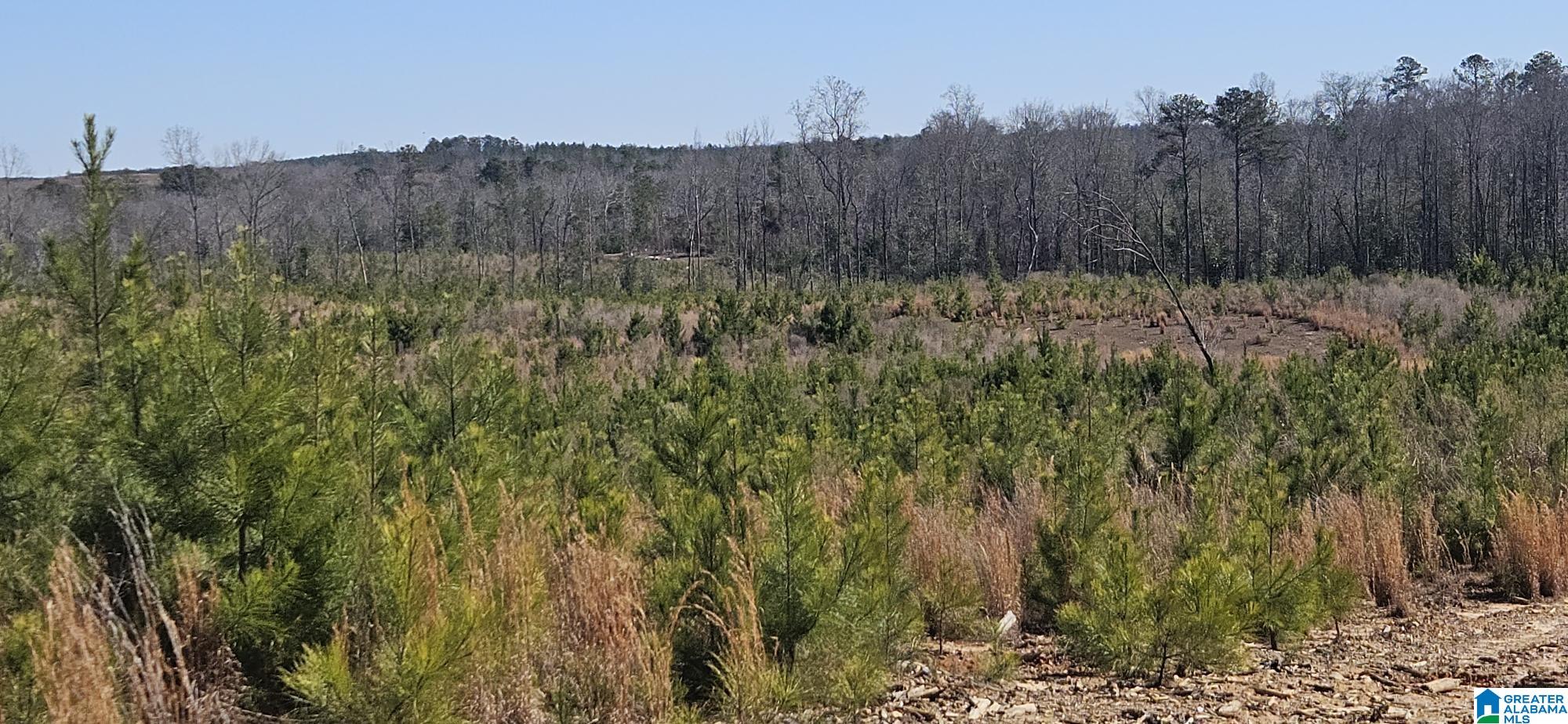 Homes for sale in Randolph, AL | 0 Hwy 139, Randolph, AL 36792 | MLS# 21443600