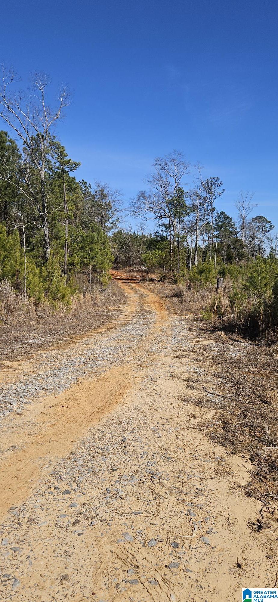 Homes for sale in Randolph, AL | 0 Hwy 139, Randolph, AL 36792 | MLS# 21443600