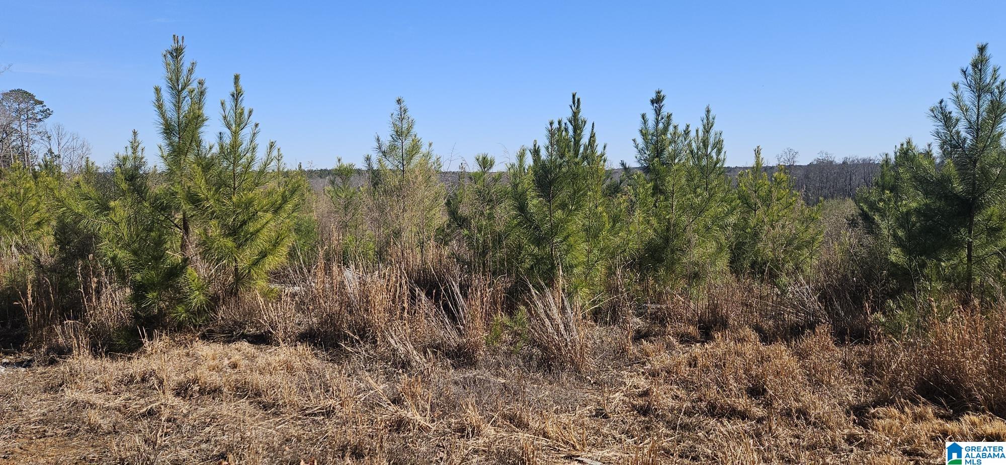 Homes for sale in Randolph, AL | 0 Hwy 139, Randolph, AL 36792 | MLS# 21443600