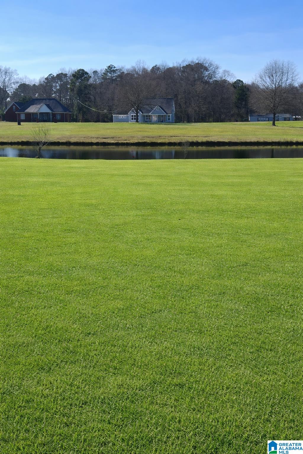 Homes for sale in Clanton, AL | Lot 6 County Road 429, Clanton, AL 35045 | MLS# 21443625