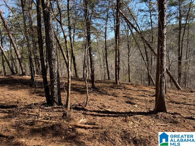 Homes for sale in Wedowee, AL | 51 Aqua Dr, Wedowee, AL 36278 | MLS# 21443689