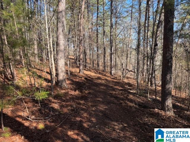 Homes for sale in Wedowee, AL | 51 Aqua Dr, Wedowee, AL 36278 | MLS# 21443689