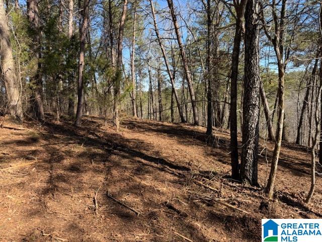 Homes for sale in Wedowee, AL | 51 Aqua Dr, Wedowee, AL 36278 | MLS# 21443689