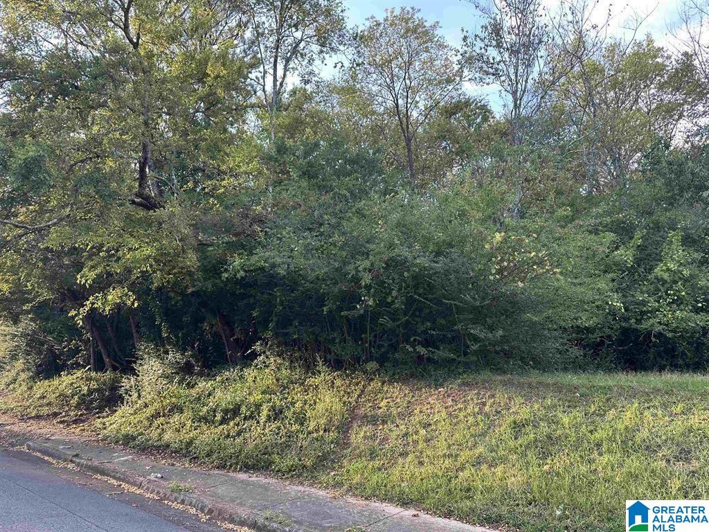 Homes for sale in Jacksonville, AL | 612 Vann Street Se, Jacksonville, AL 36265 | MLS# 21443693