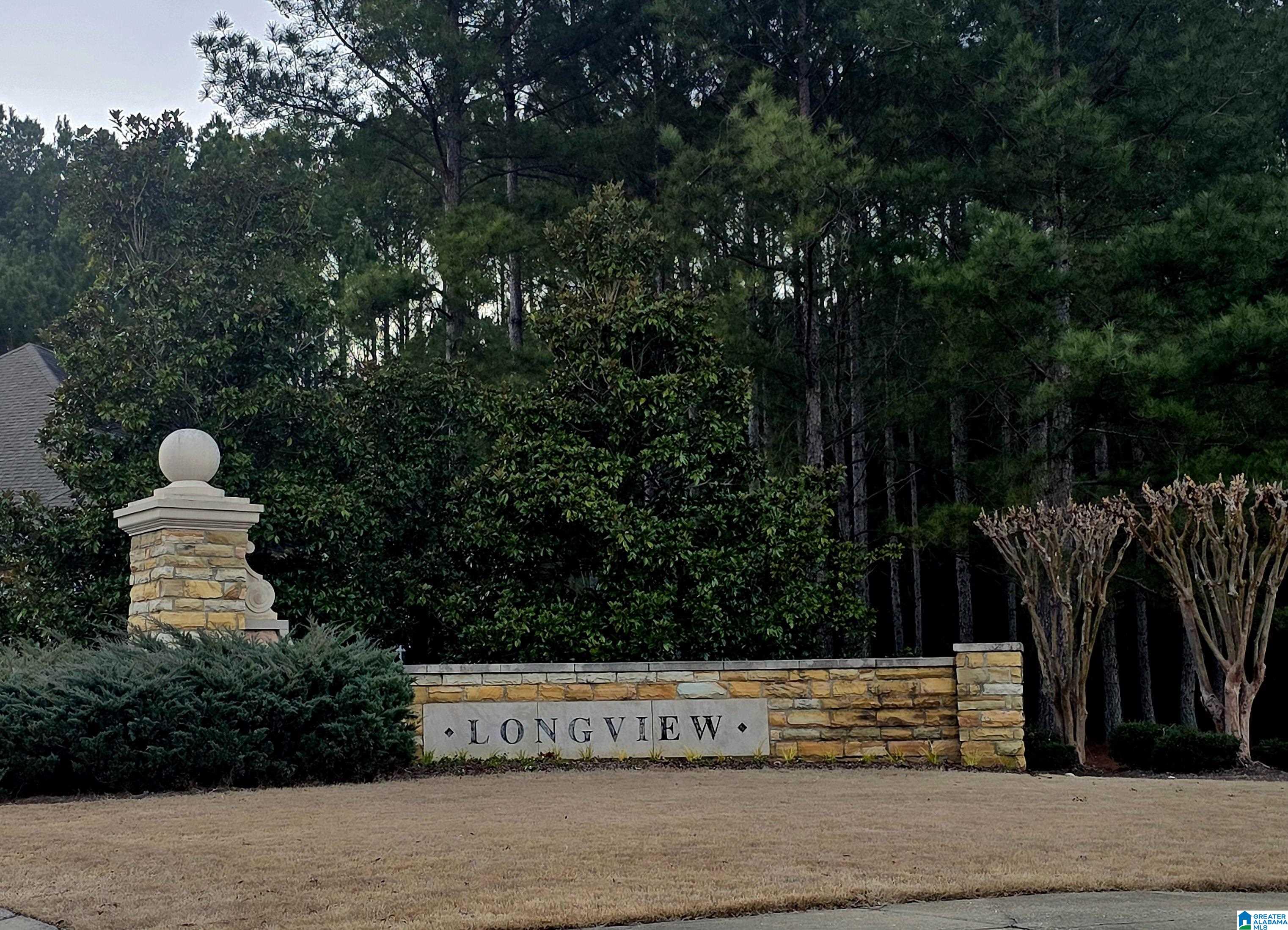 Homes for sale in Chelsea, AL | 3083 Chelsea Park Ridge, Chelsea, AL 35043 | MLS# 21443705