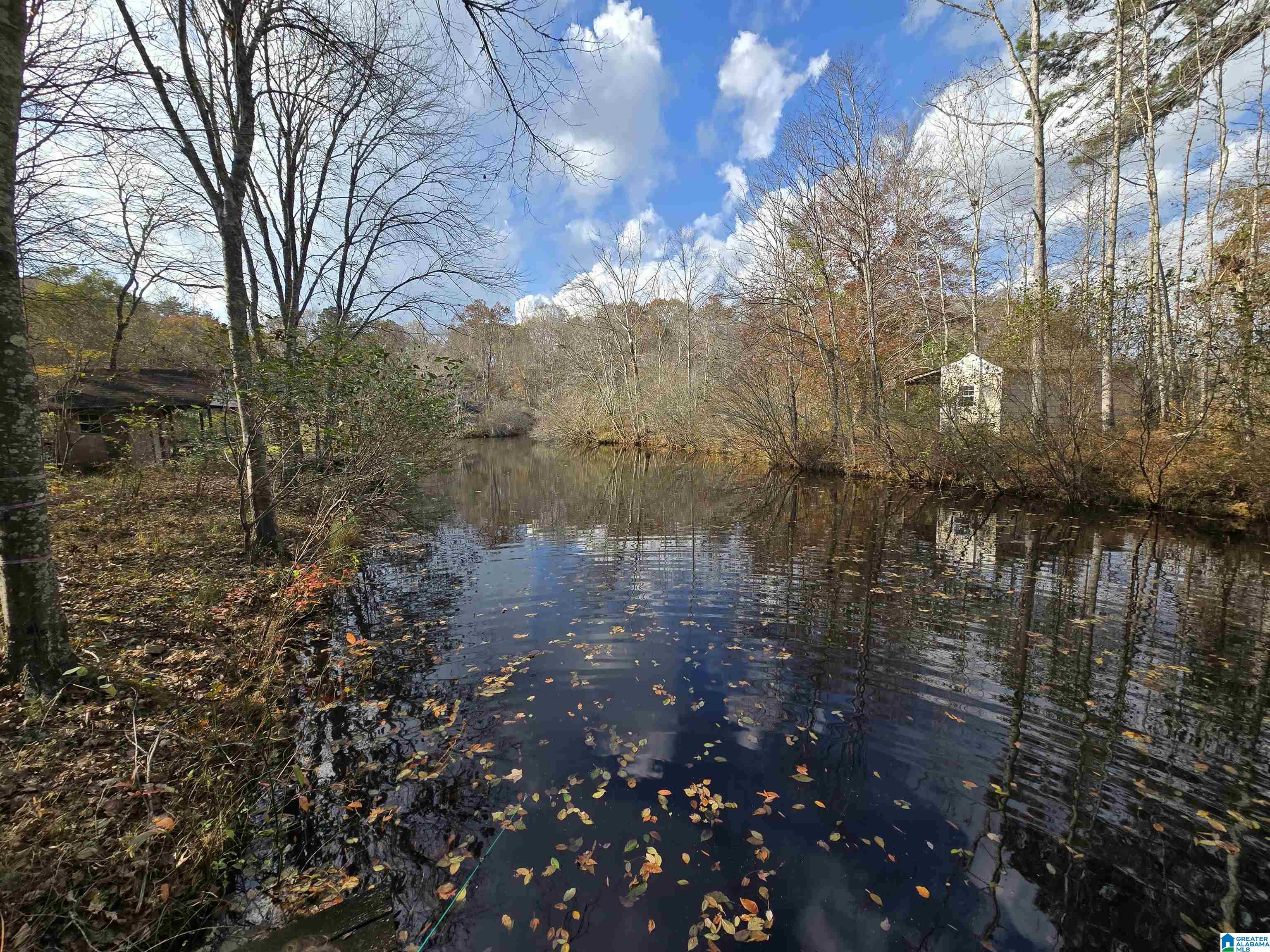 Homes for sale in Sylacauga, AL | 291 Crain Lane, Sylacauga, AL 35151 | MLS# 21443711