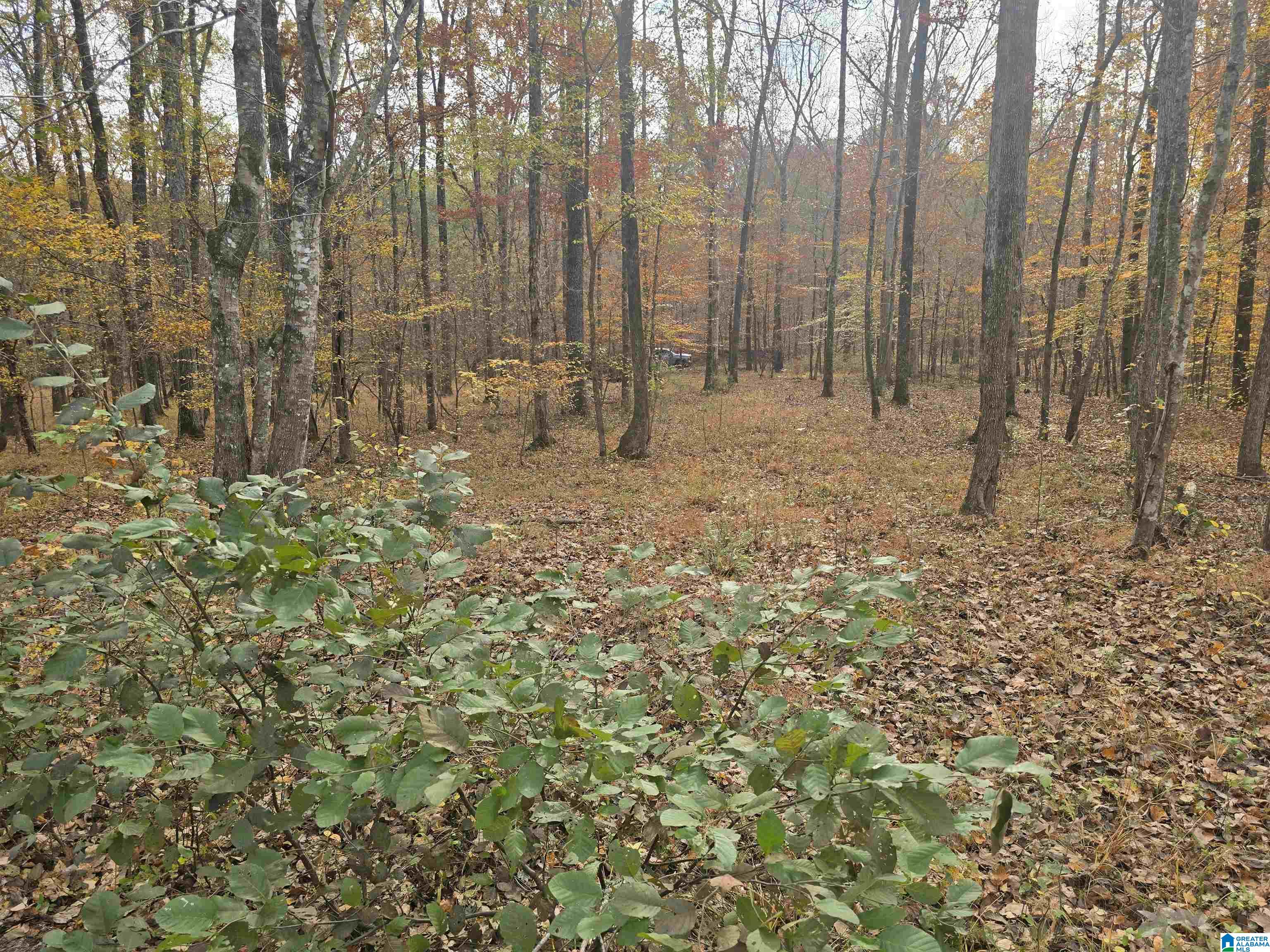 Homes for sale in Sylacauga, AL | 291 Crain Lane, Sylacauga, AL 35151 | MLS# 21443711