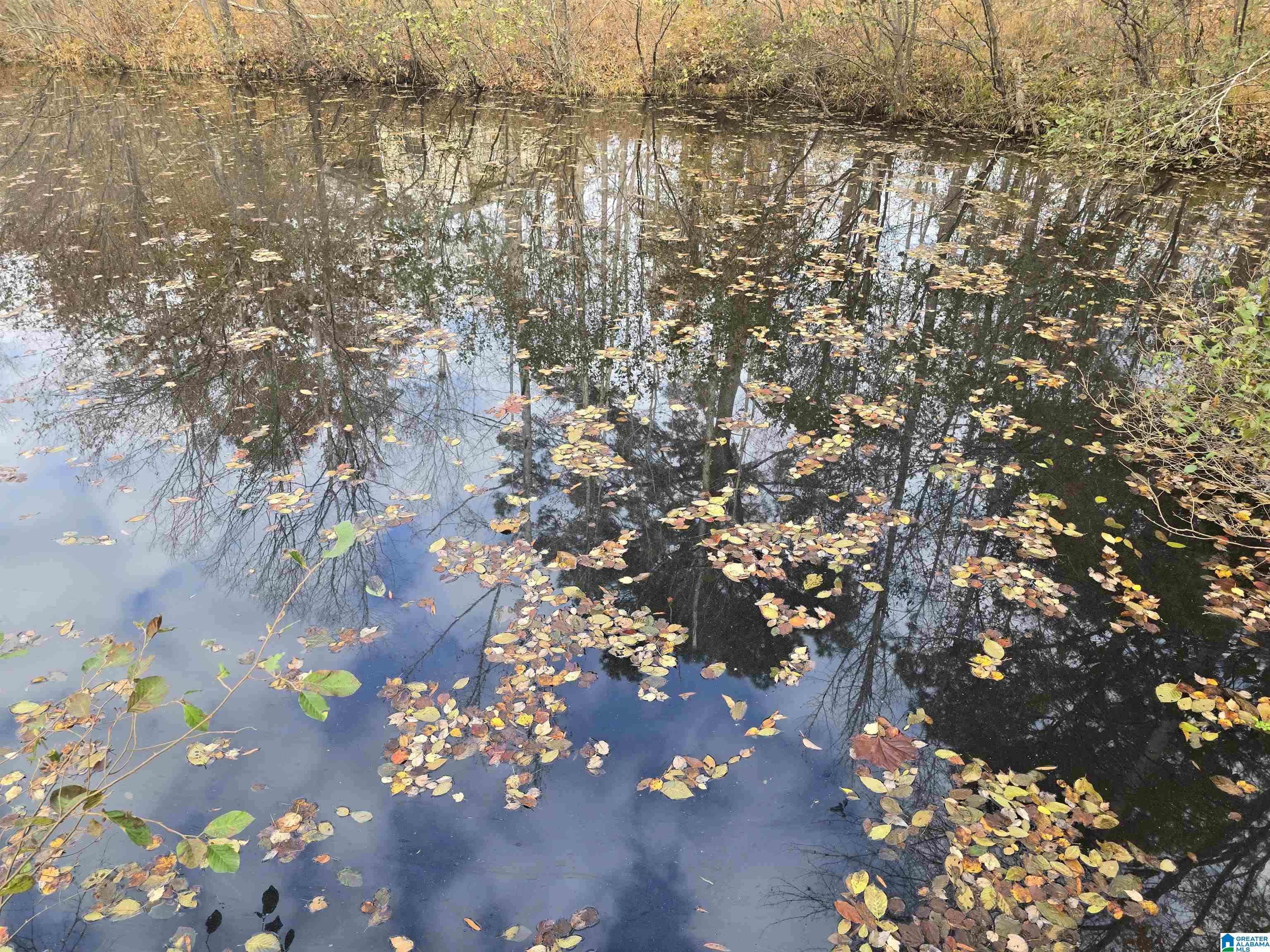 Homes for sale in Sylacauga, AL | 291 Crain Lane, Sylacauga, AL 35151 | MLS# 21443711